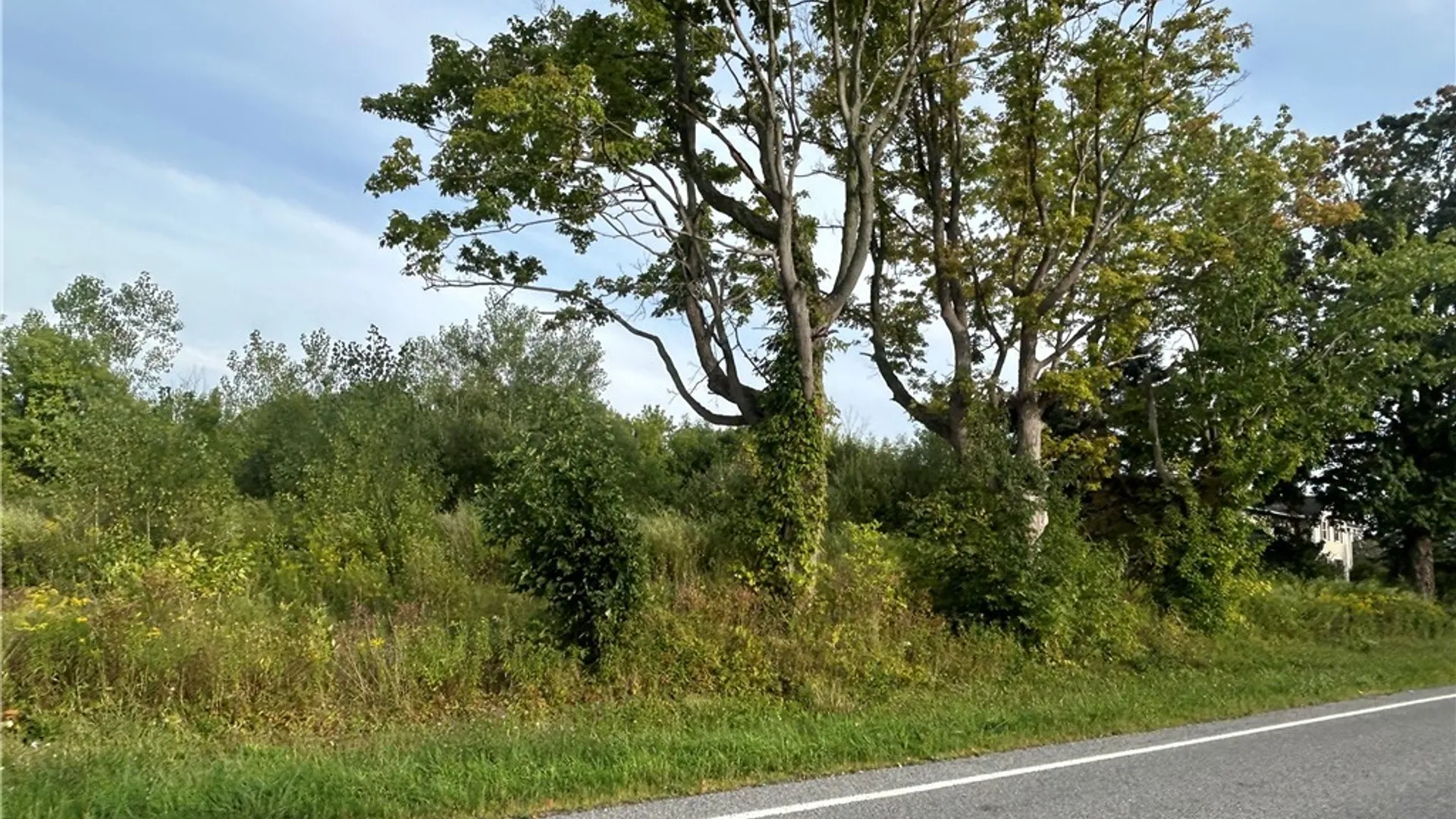 Property at 7507 Greenbush Road, Newstead, NY 14001 6