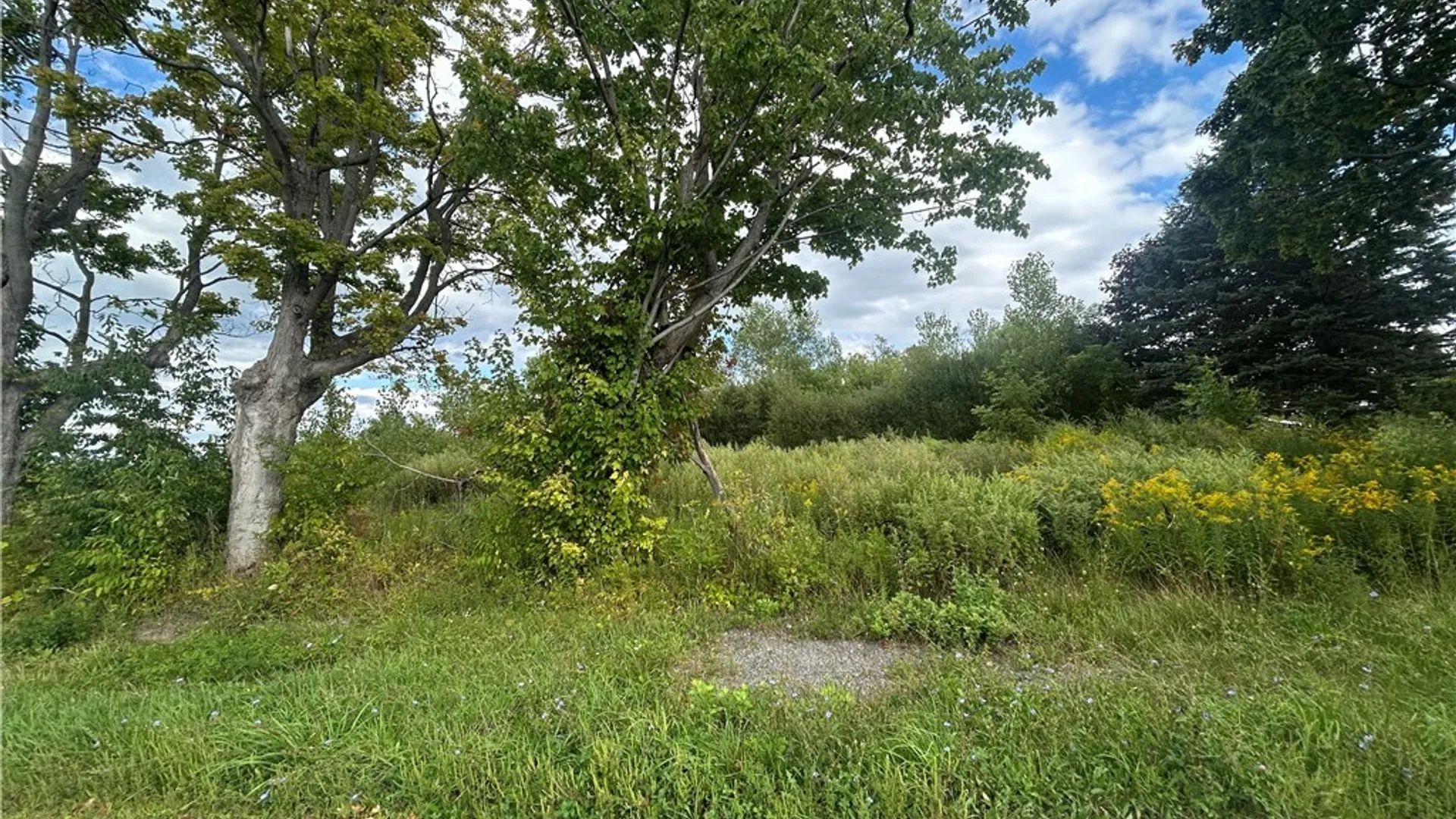 Property at 7507 Greenbush Road, Newstead, NY 14001 8