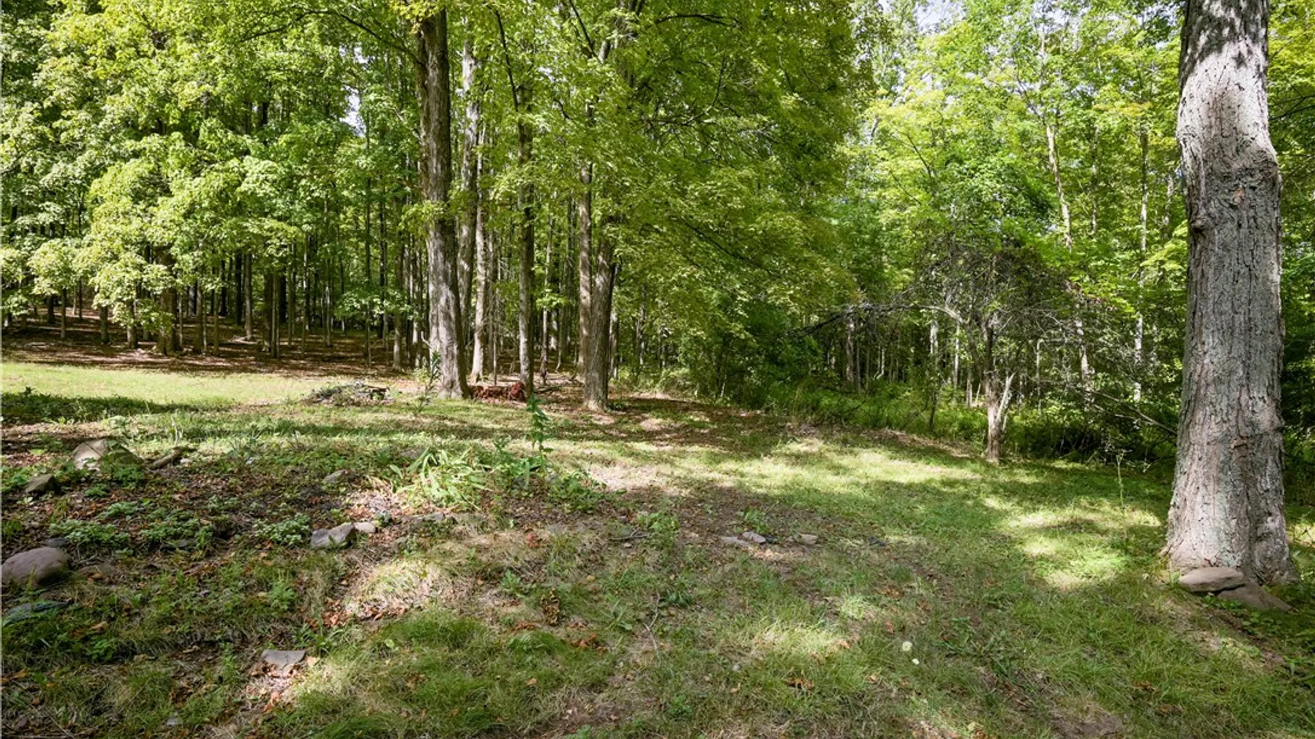 Property at 200 Davis Mt Road, Rensselaerville, NY 12460 12