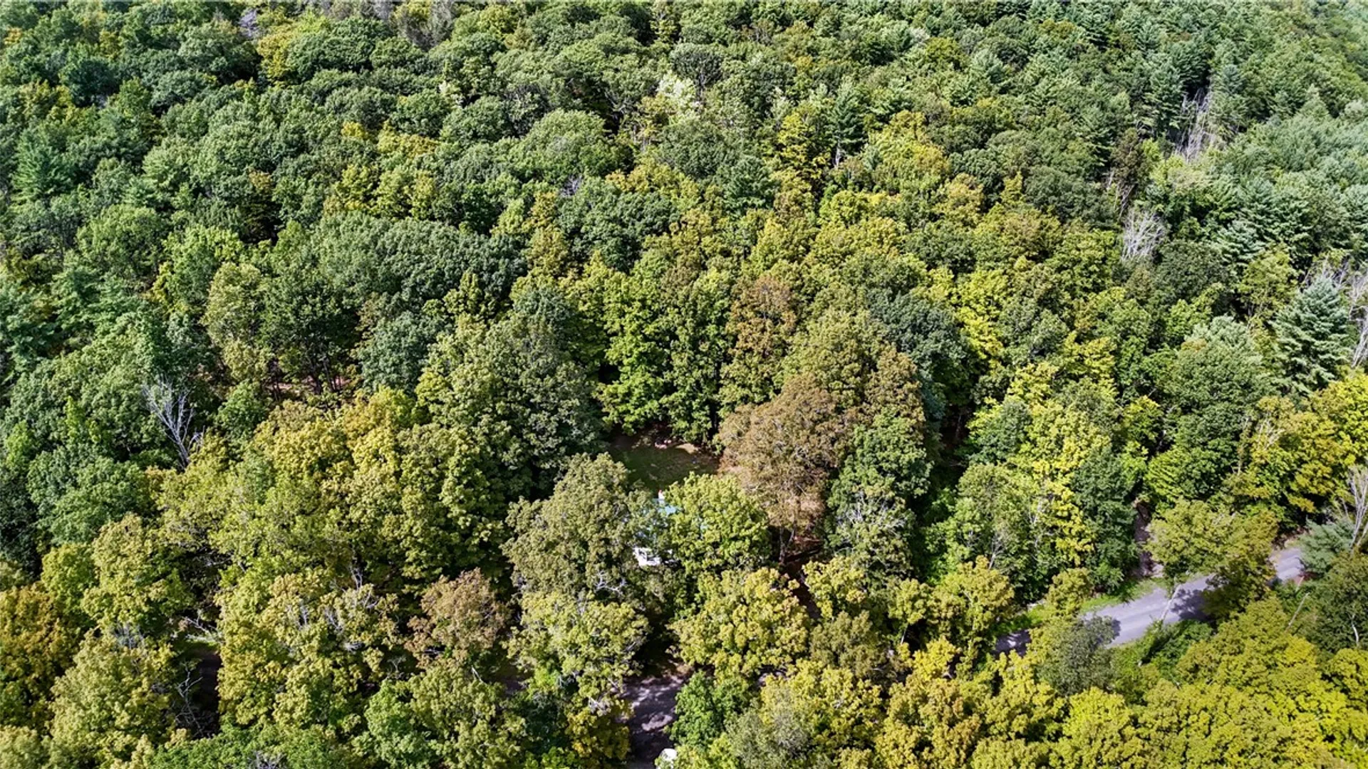 Property at 200 Davis Mt Road, Rensselaerville, NY 12460 9