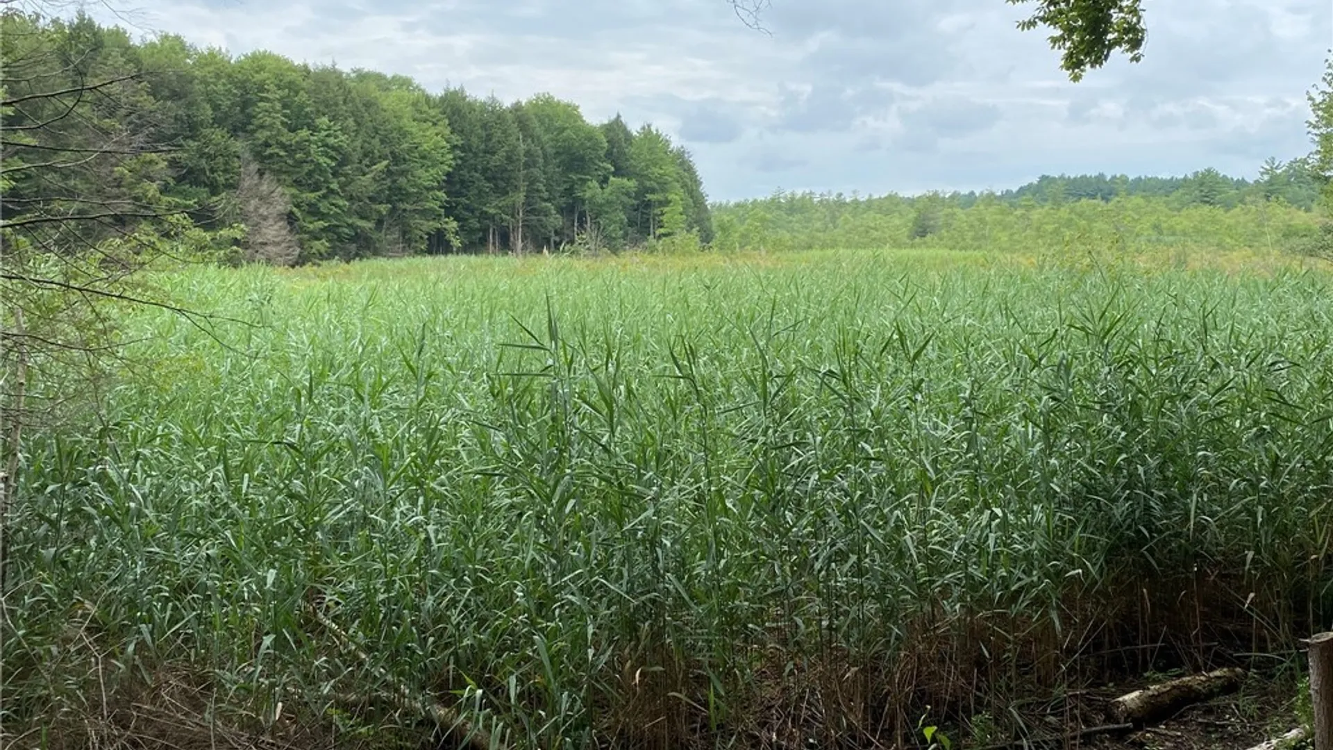 Property at Fisherman S Bridge Road, Amboy, NY 13493 13