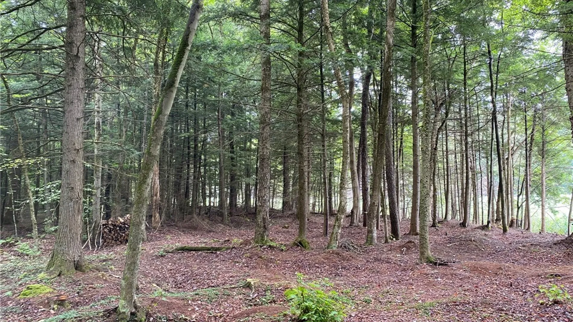 Property at Fisherman S Bridge Road, Amboy, NY 13493 14