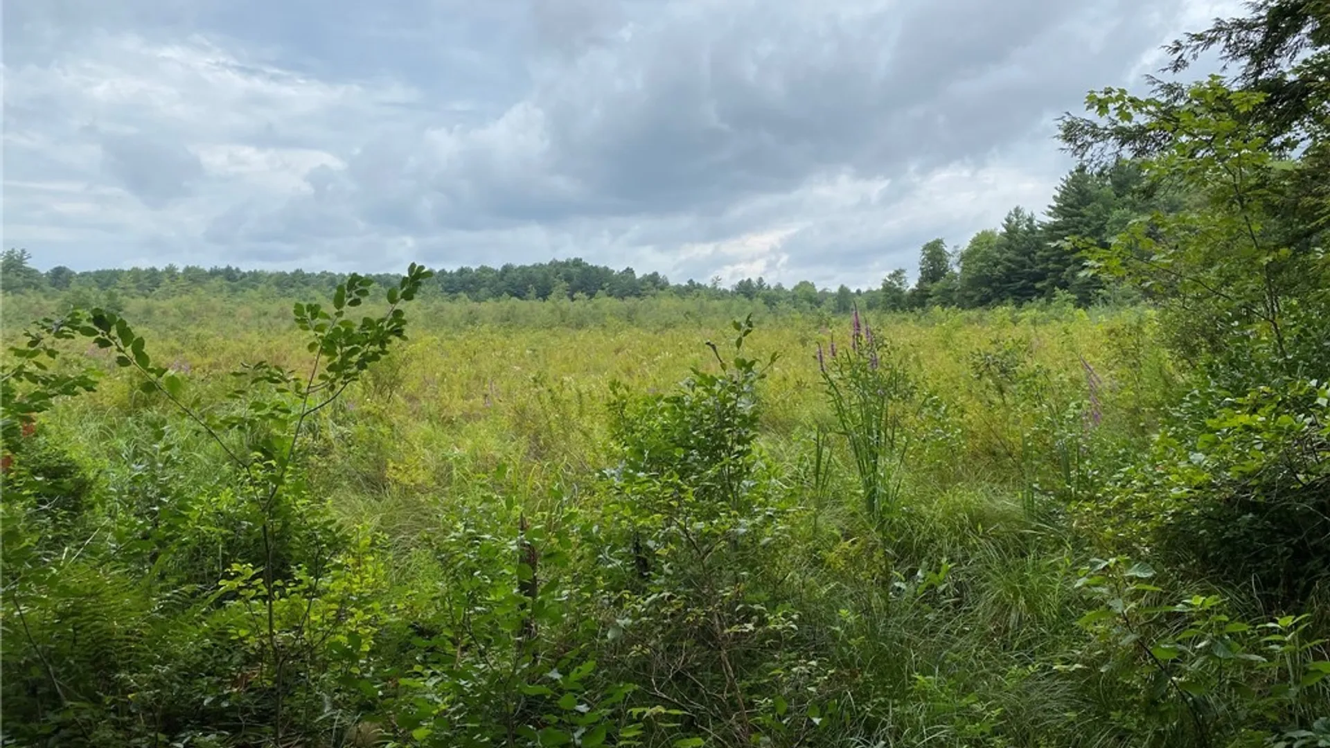 Property at Fisherman S Bridge Road, Amboy, NY 13493 15