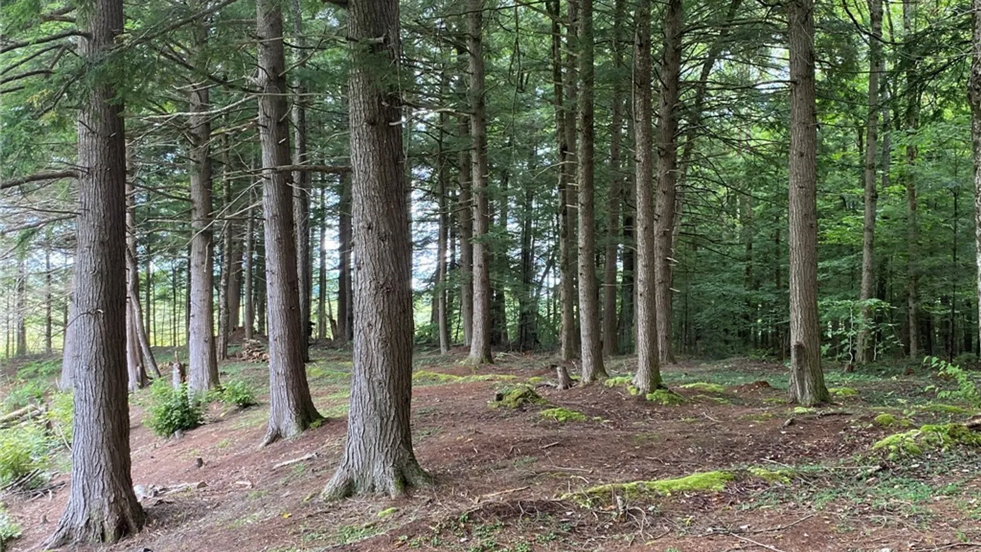 Property at Fisherman S Bridge Road, Amboy, NY 13493 16