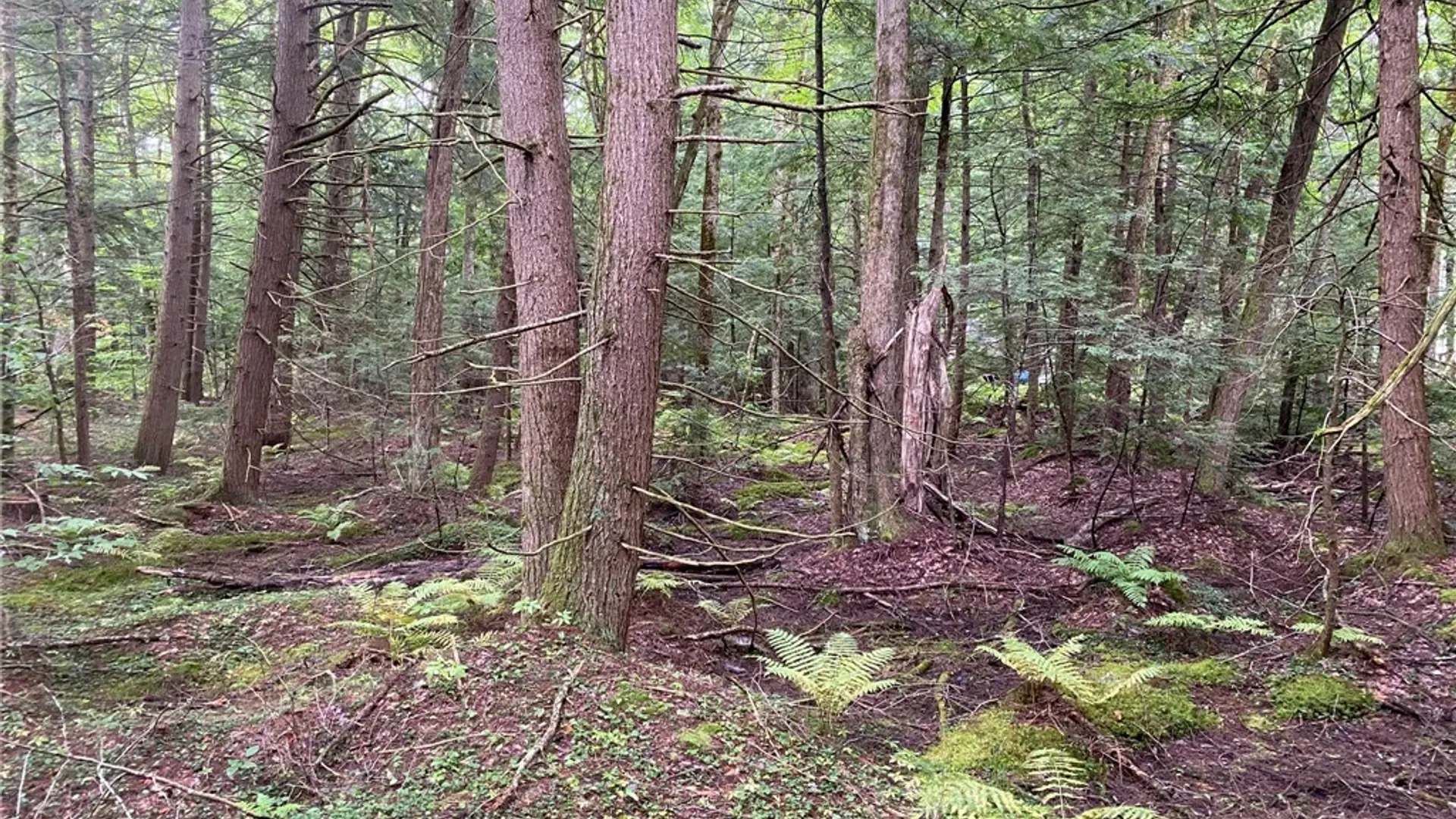 Property at Fisherman S Bridge Road, Amboy, NY 13493 30