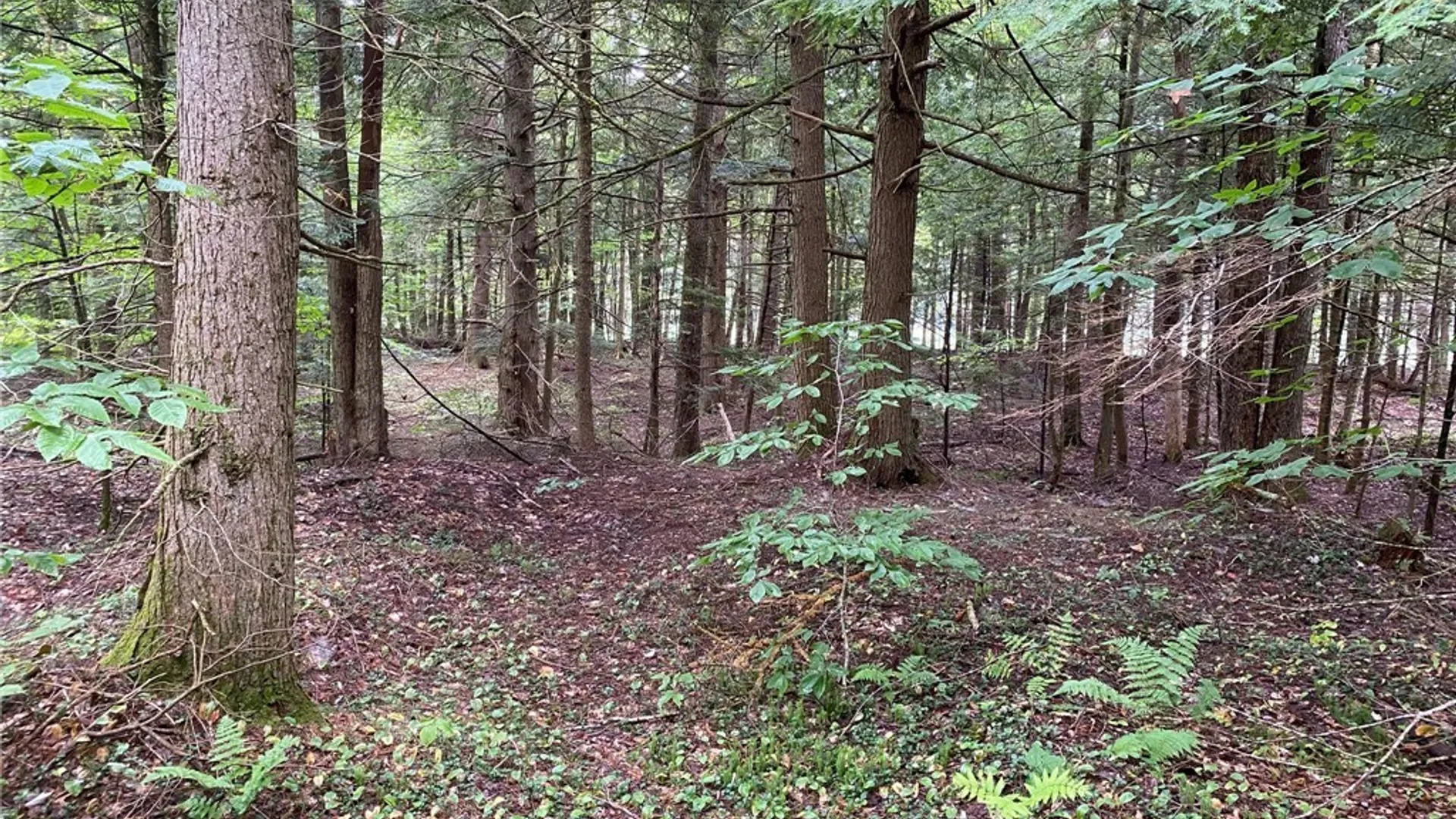 Property at Fisherman S Bridge Road, Amboy, NY 13493 31