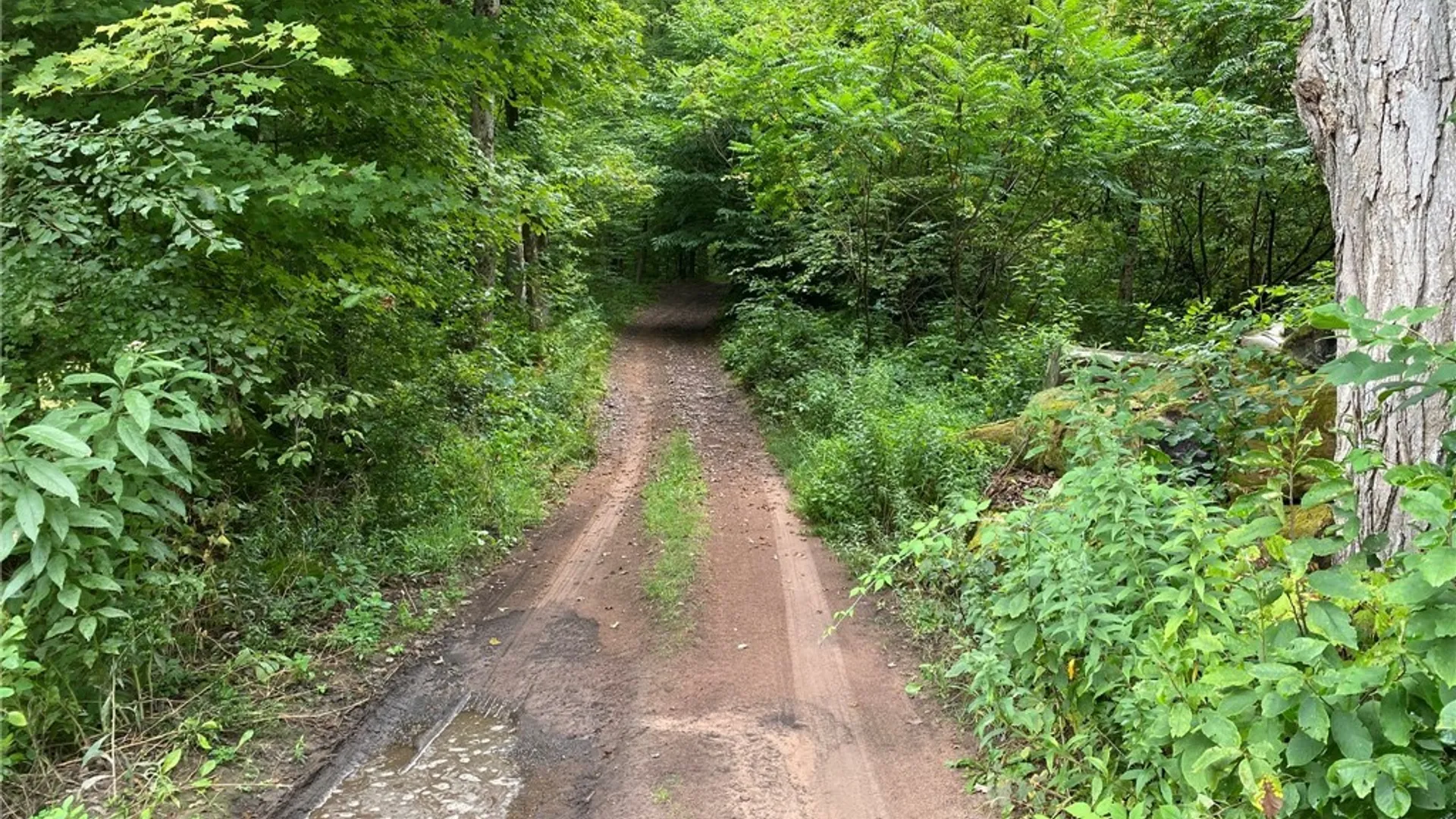 Property at Fisherman S Bridge Road, Amboy, NY 13493 34