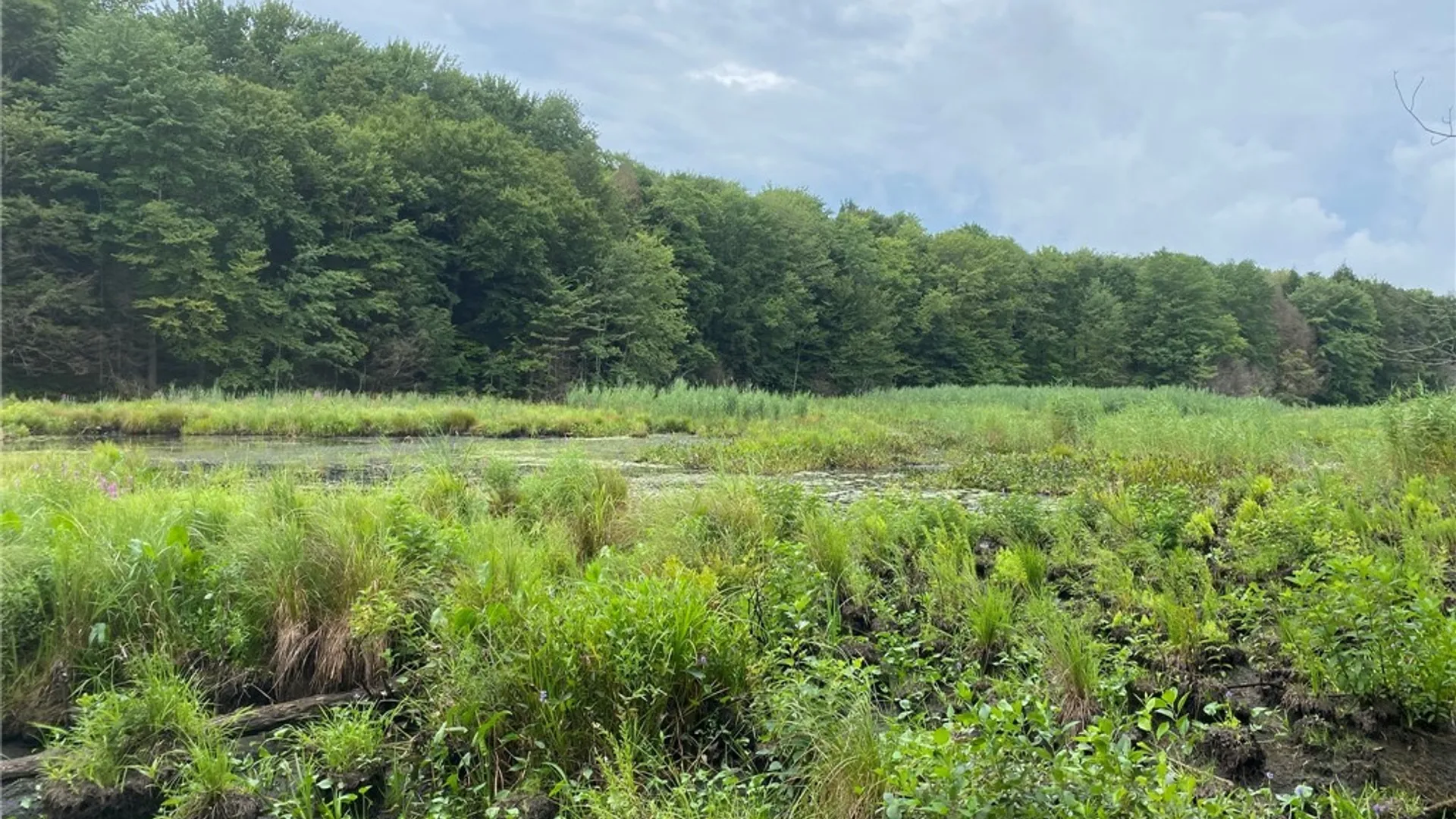 Property at Fisherman S Bridge Road, Amboy, NY 13493 6