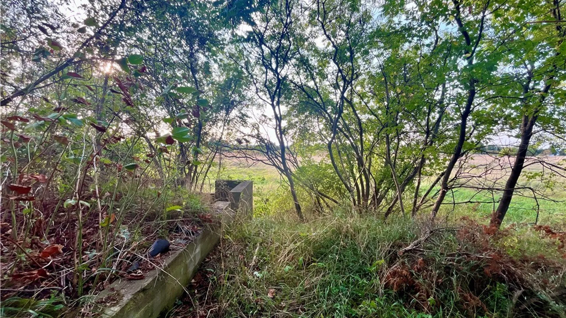 Property at 205 River Road, Hammond, NY 13646 8