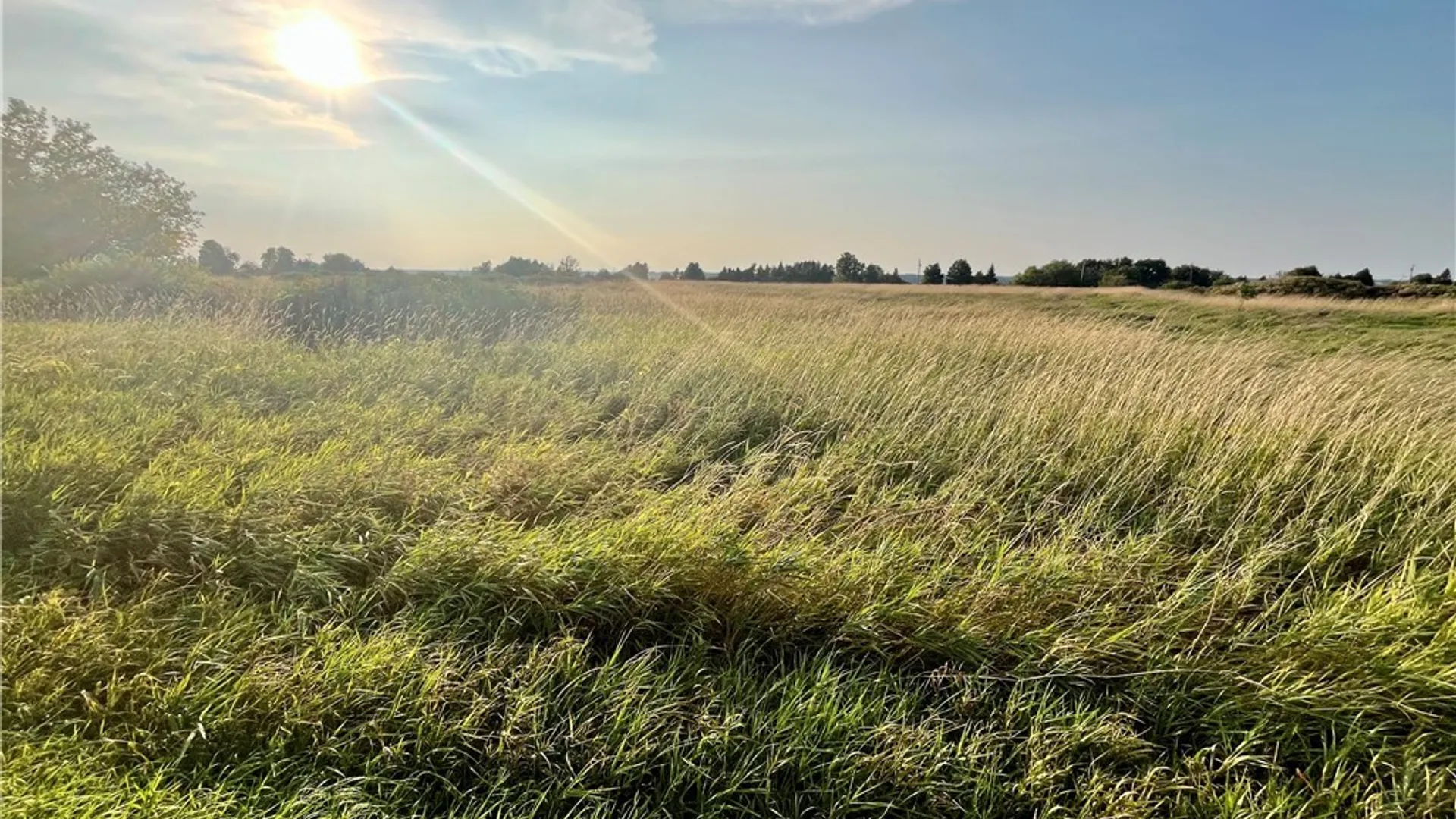 Property at 205 River Road, Hammond, NY 13646 9