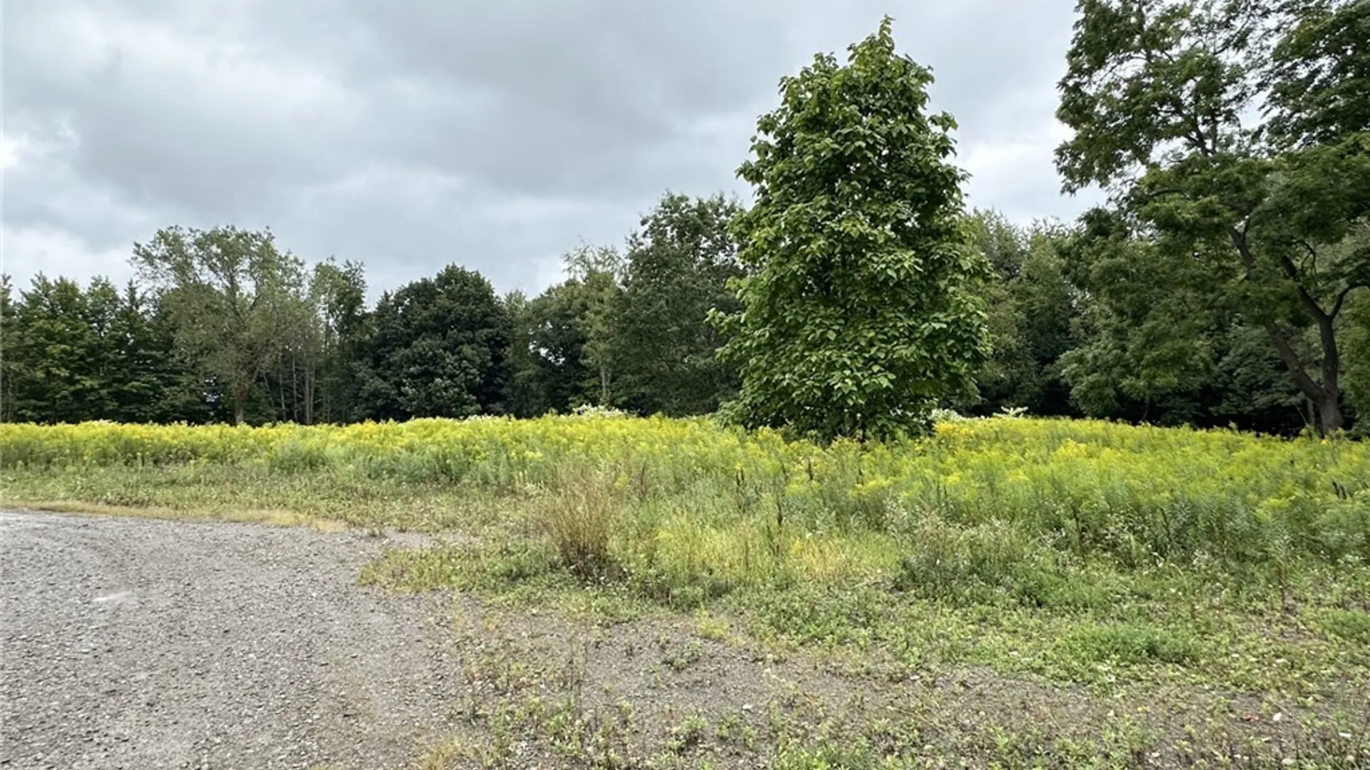 Property at 3328 Route 394, North Harmony, NY 14710 37