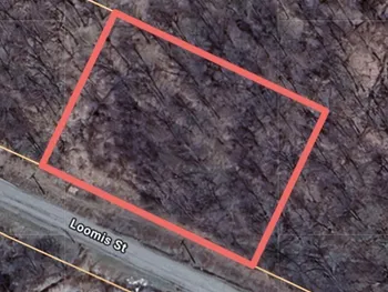 Loomis Street, Little Falls City, NY 13365