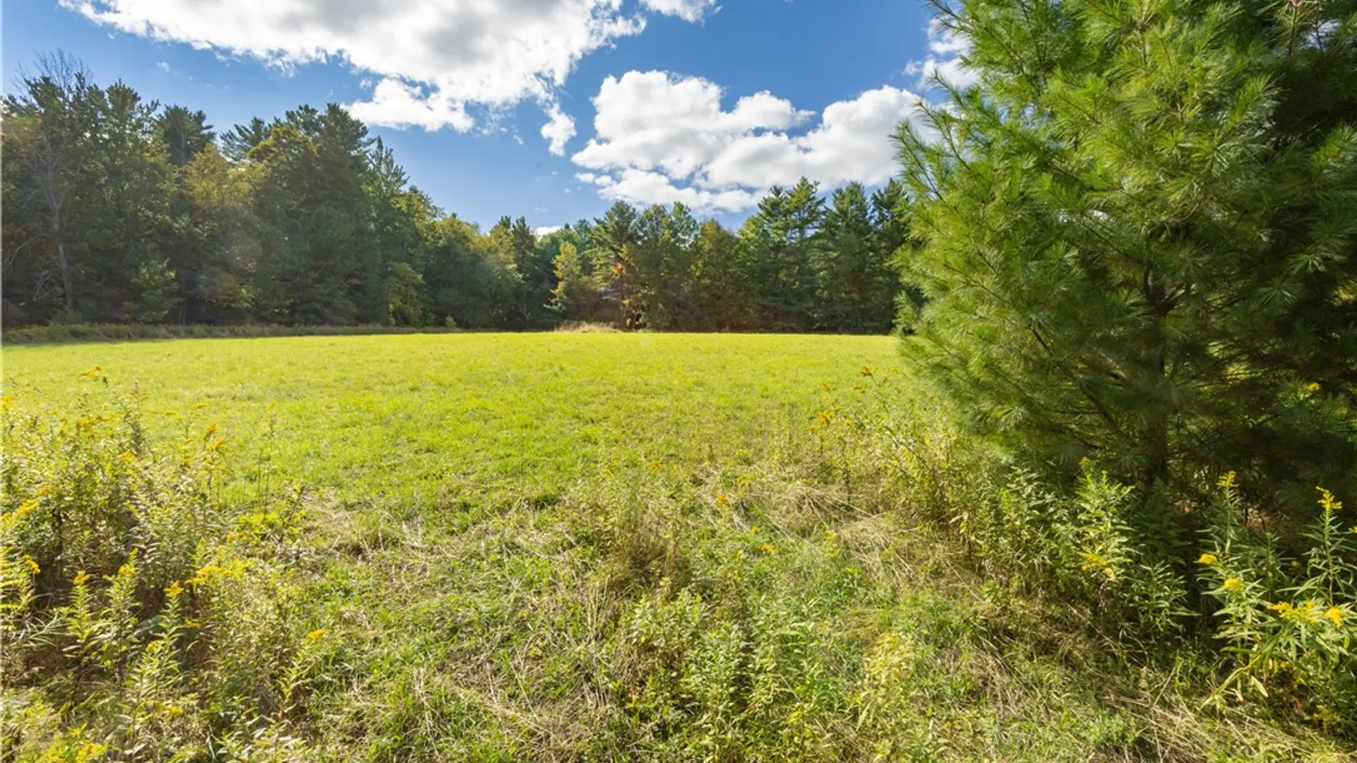 Property at L11 Mountain Pond View Road, Conesville, NY 12076 10