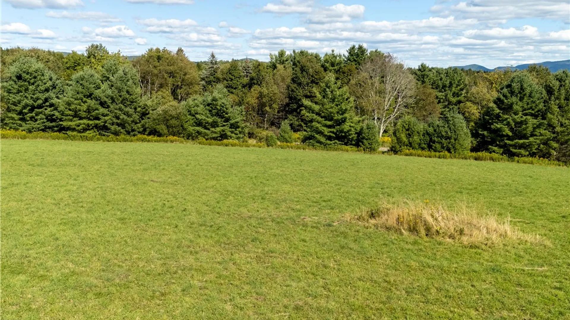 Property at L11 Mountain Pond View Road, Conesville, NY 12076 11