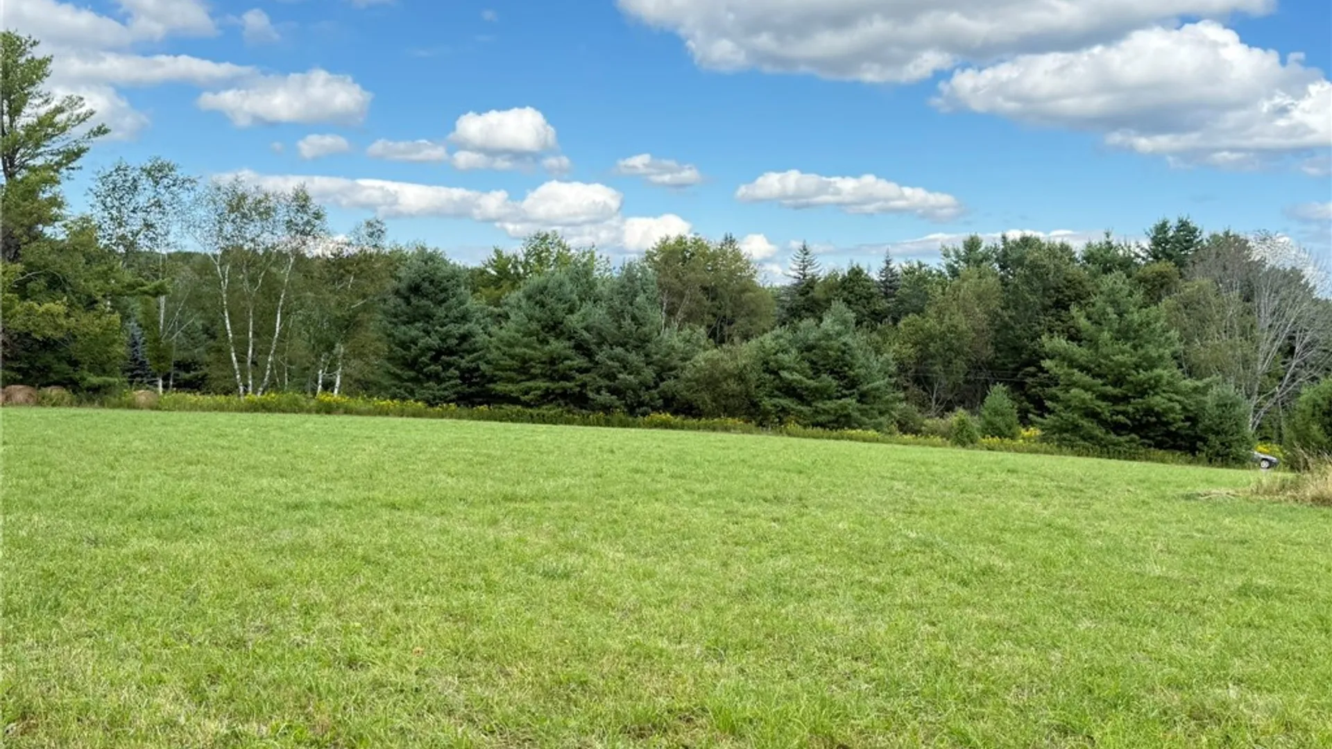 Property at L11 Mountain Pond View Road, Conesville, NY 12076 14