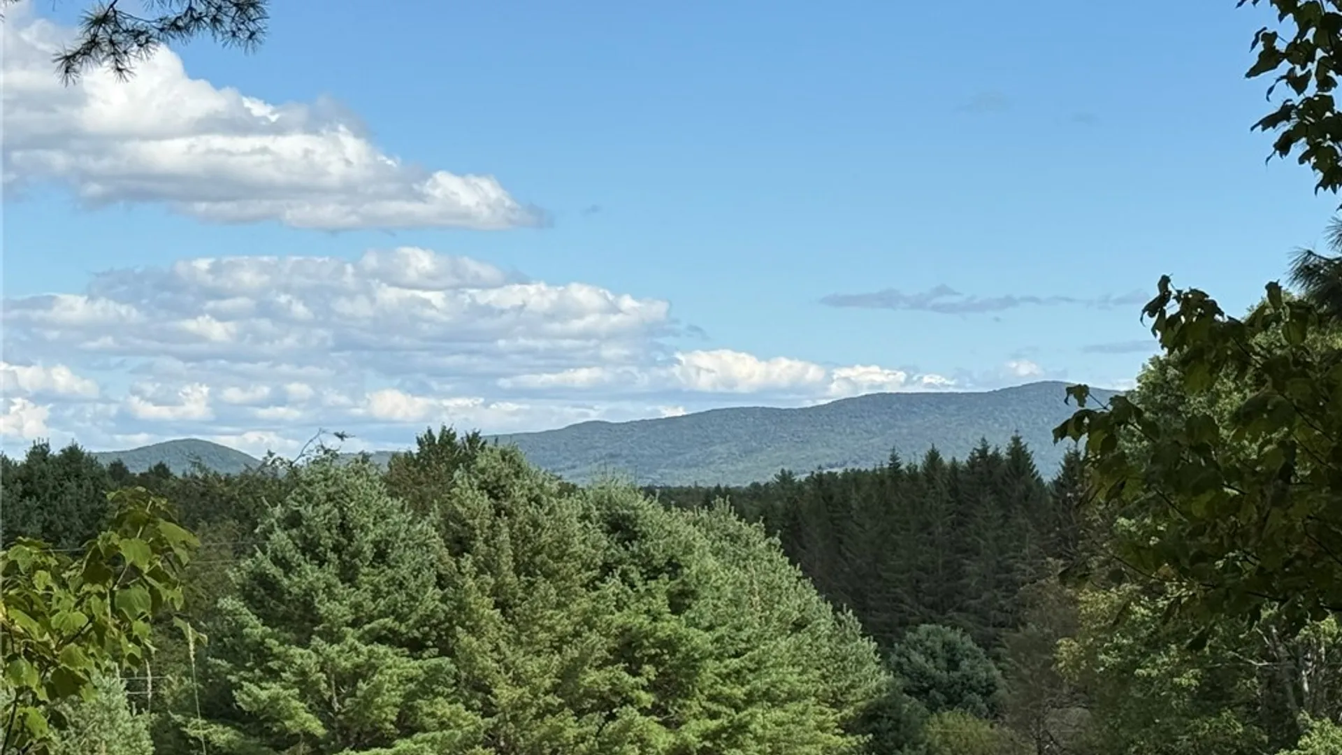 Property at L11 Mountain Pond View Road, Conesville, NY 12076 2