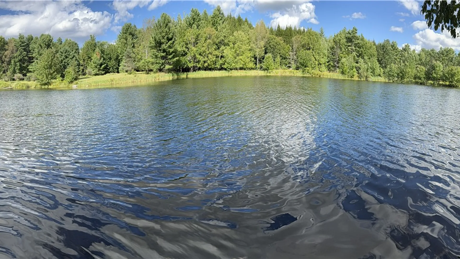 Property at L11 Mountain Pond View Road, Conesville, NY 12076 21