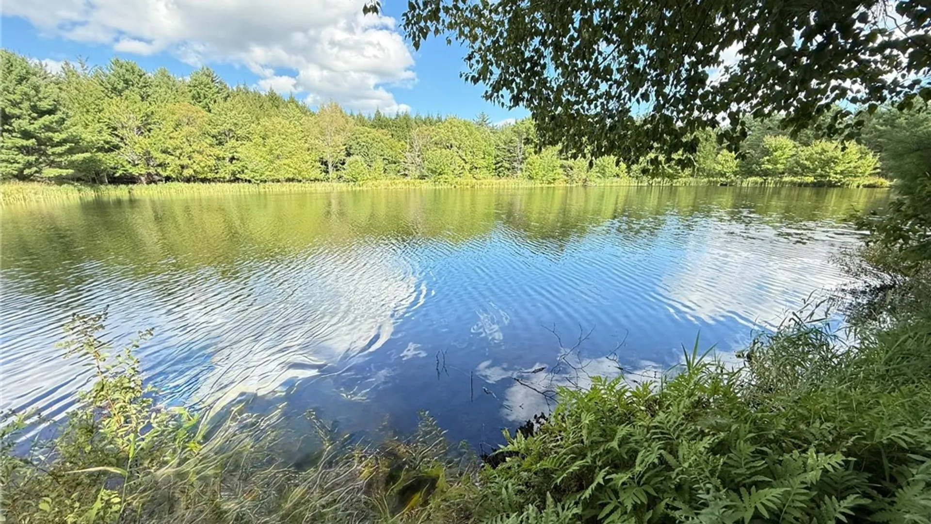 Property at L11 Mountain Pond View Road, Conesville, NY 12076 22