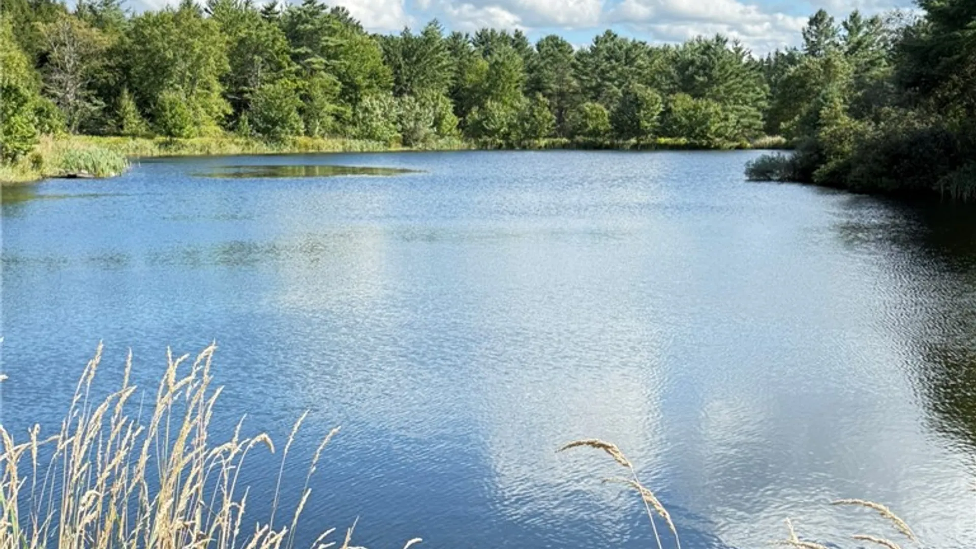 Property at L11 Mountain Pond View Road, Conesville, NY 12076 23