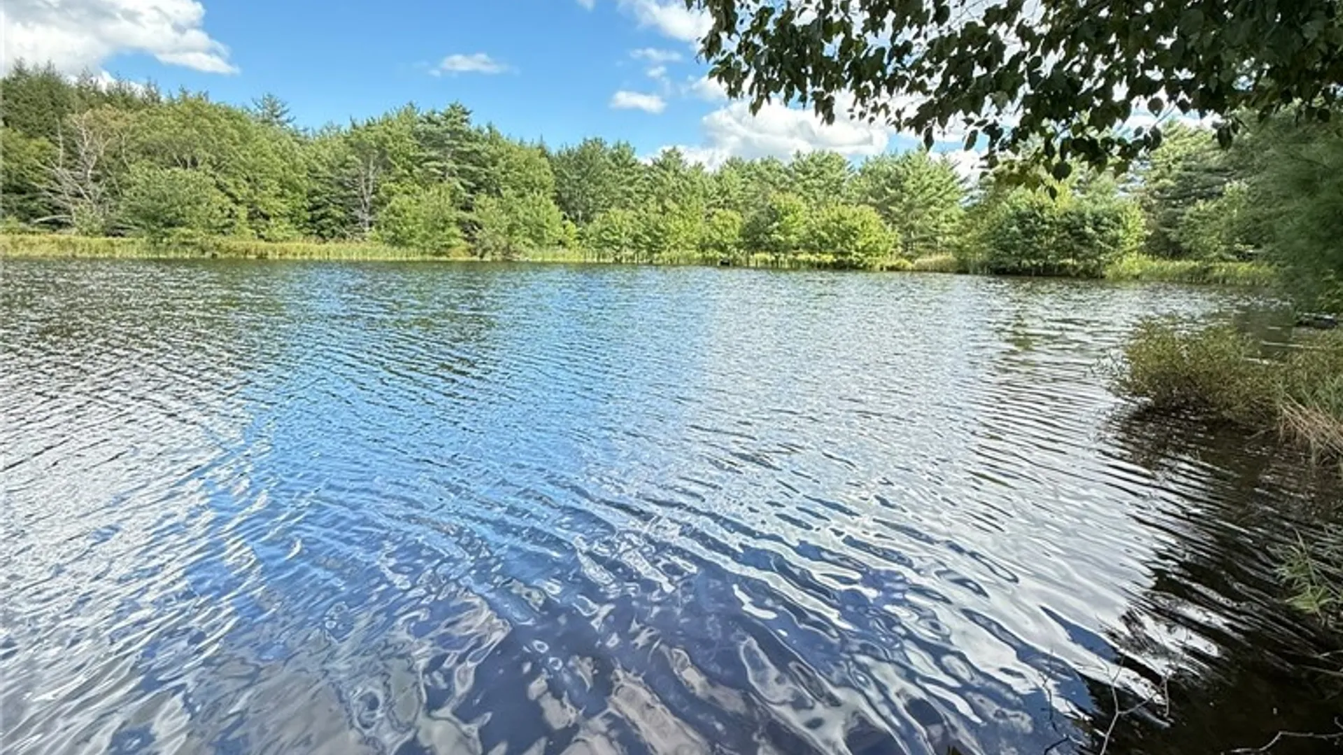 Property at L11 Mountain Pond View Road, Conesville, NY 12076 24