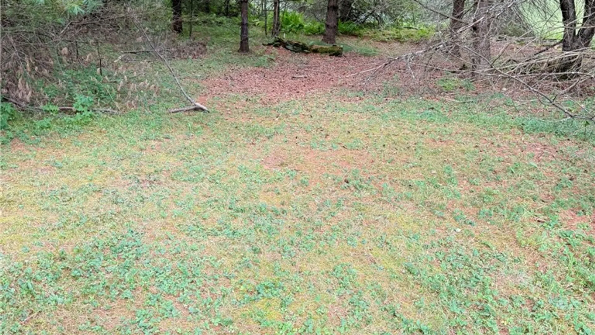 Property at L11 Mountain Pond View Road, Conesville, NY 12076 26
