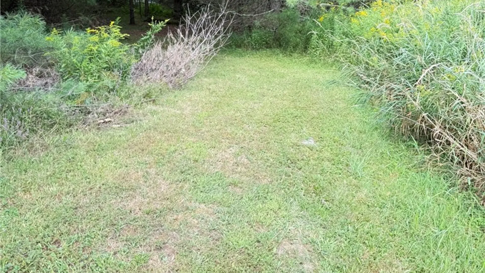 Property at L11 Mountain Pond View Road, Conesville, NY 12076 27