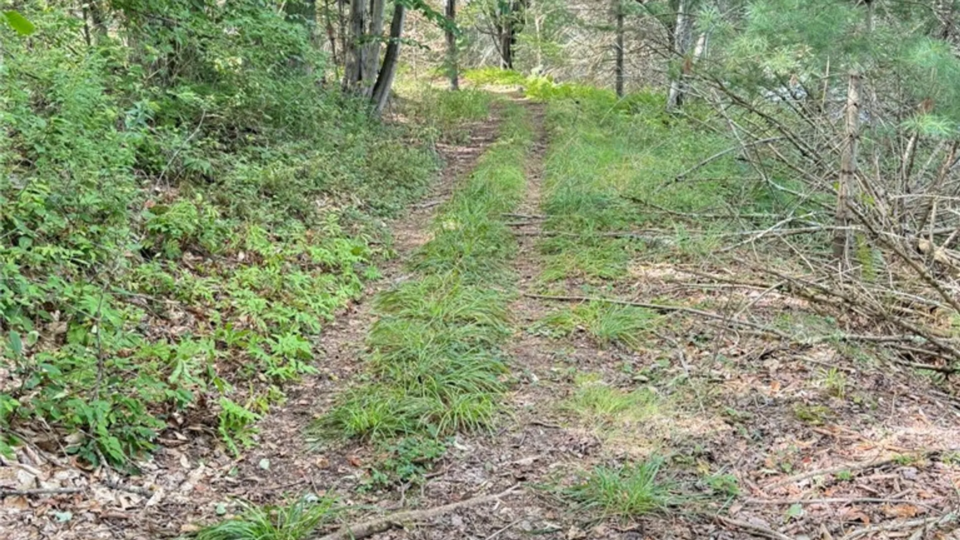 Property at L11 Mountain Pond View Road, Conesville, NY 12076 29