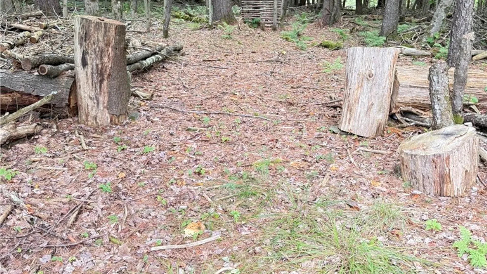 Property at L11 Mountain Pond View Road, Conesville, NY 12076 36