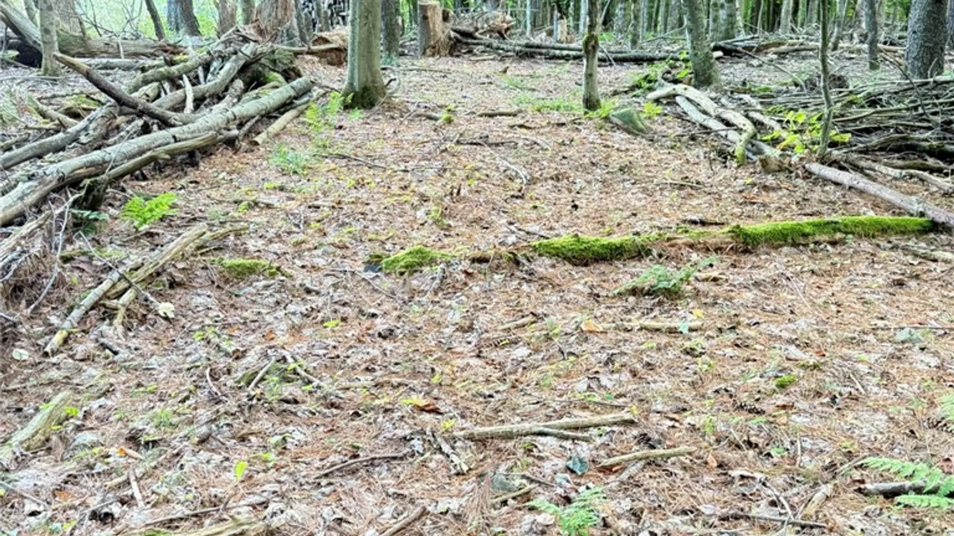Property at L11 Mountain Pond View Road, Conesville, NY 12076 41
