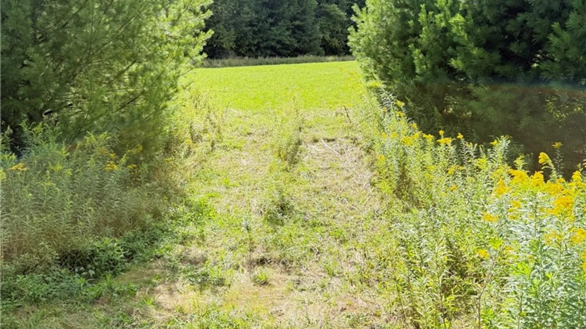 Property at L11 Mountain Pond View Road, Conesville, NY 12076 45