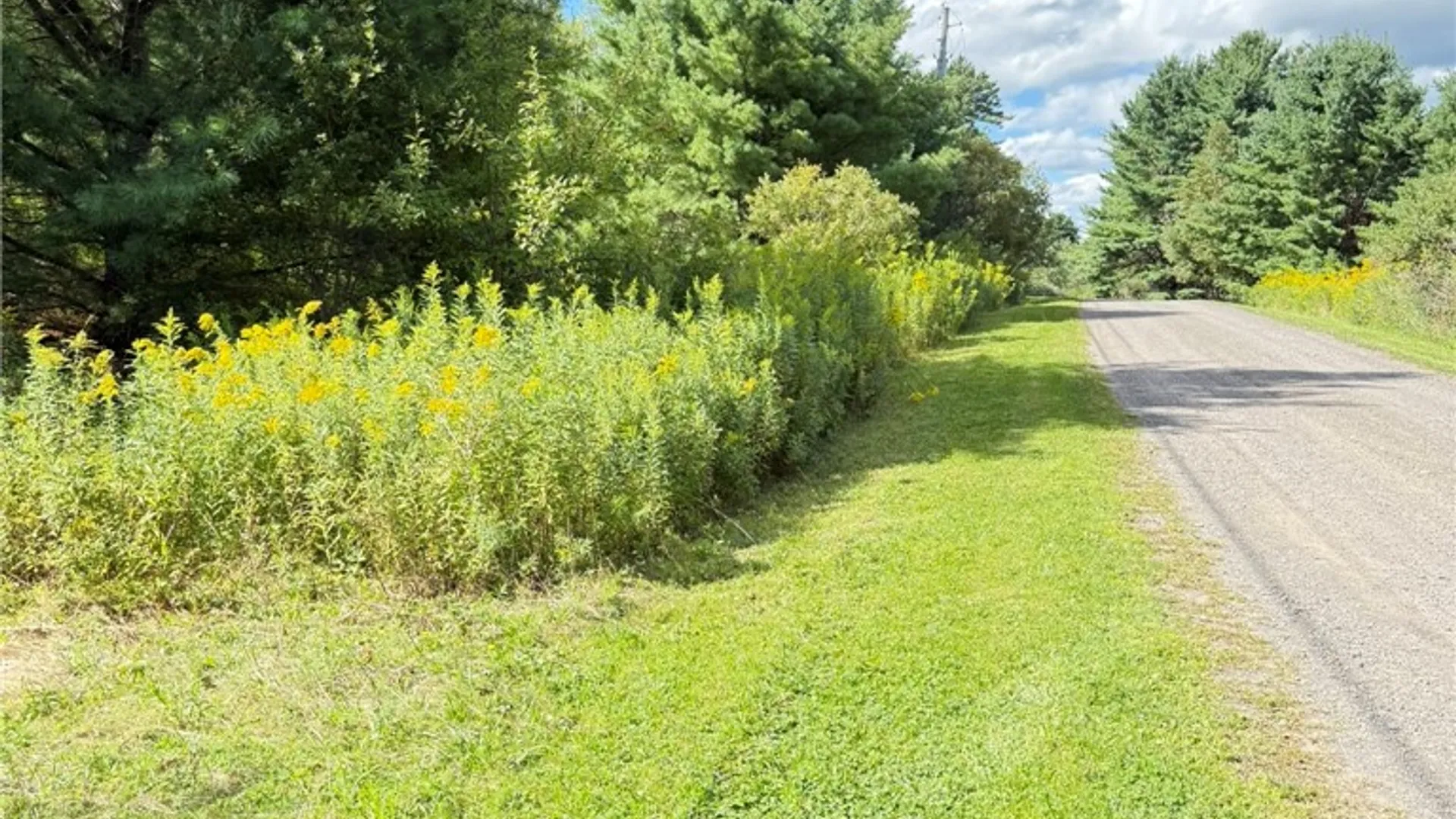 Property at L11 Mountain Pond View Road, Conesville, NY 12076 47