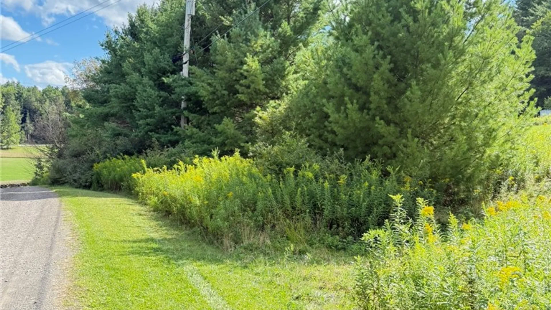 Property at L11 Mountain Pond View Road, Conesville, NY 12076 48