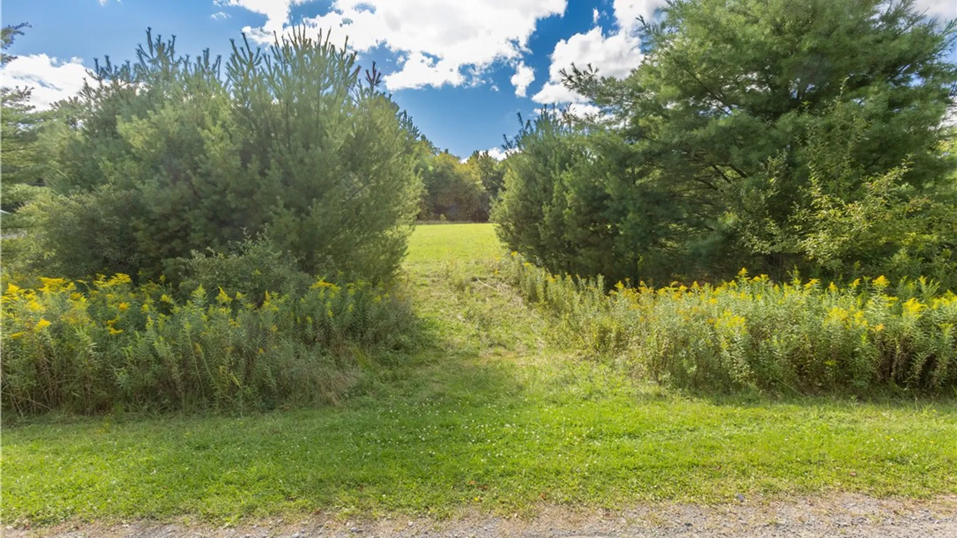 Property at L11 Mountain Pond View Road, Conesville, NY 12076 5