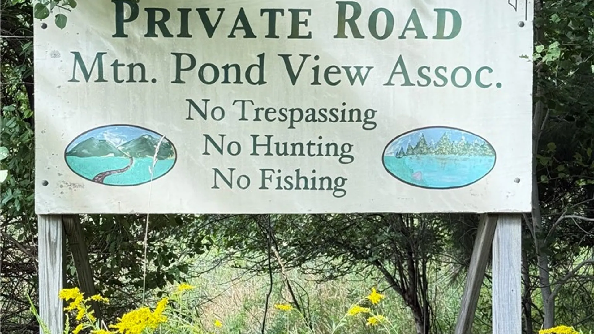 Property at L11 Mountain Pond View Road, Conesville, NY 12076 50