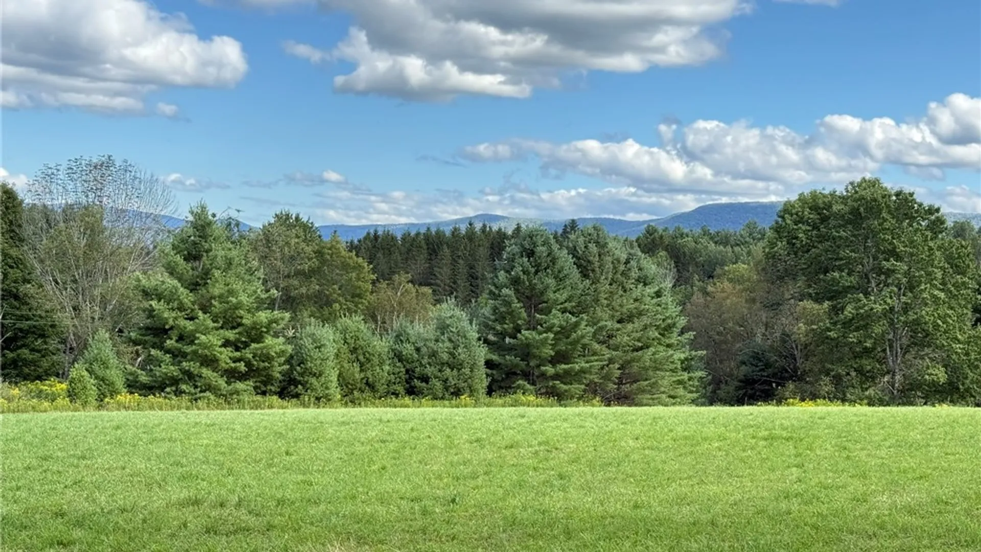 Property at L11 Mountain Pond View Road, Conesville, NY 12076 6