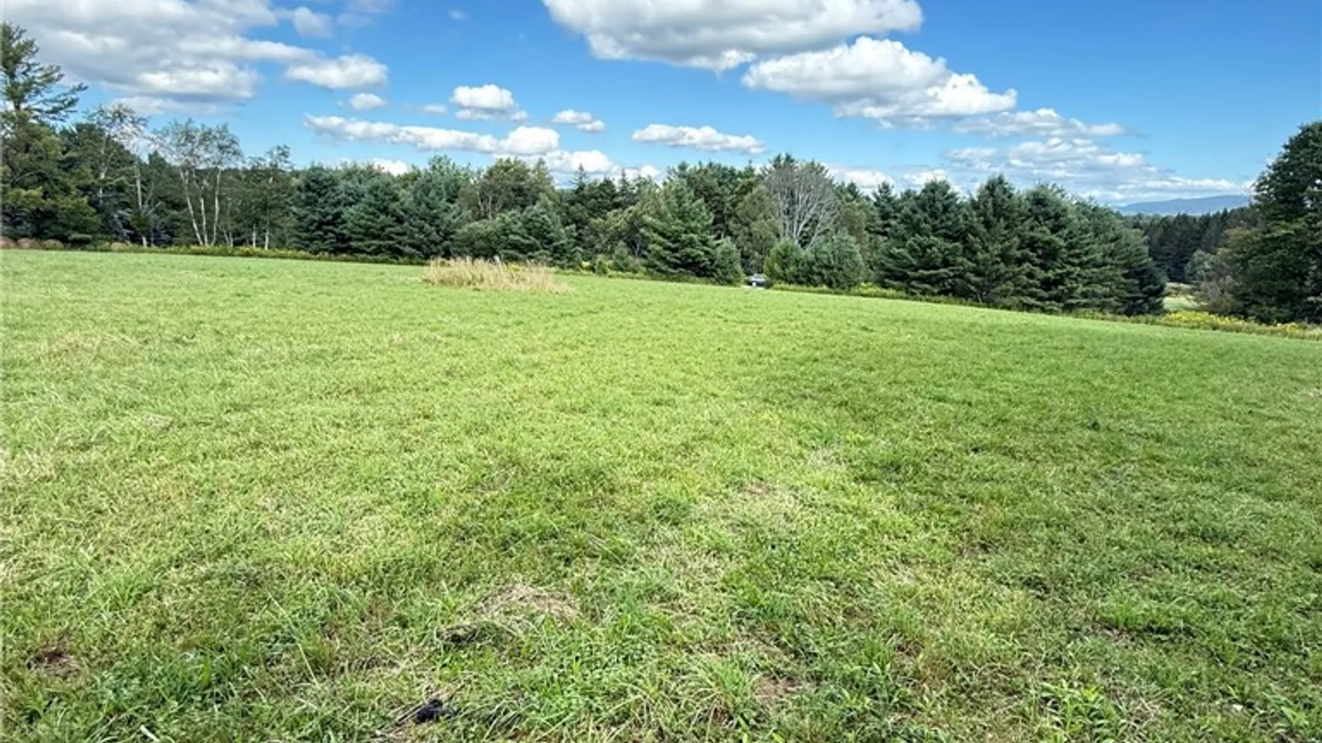 Property at L11 Mountain Pond View Road, Conesville, NY 12076 7