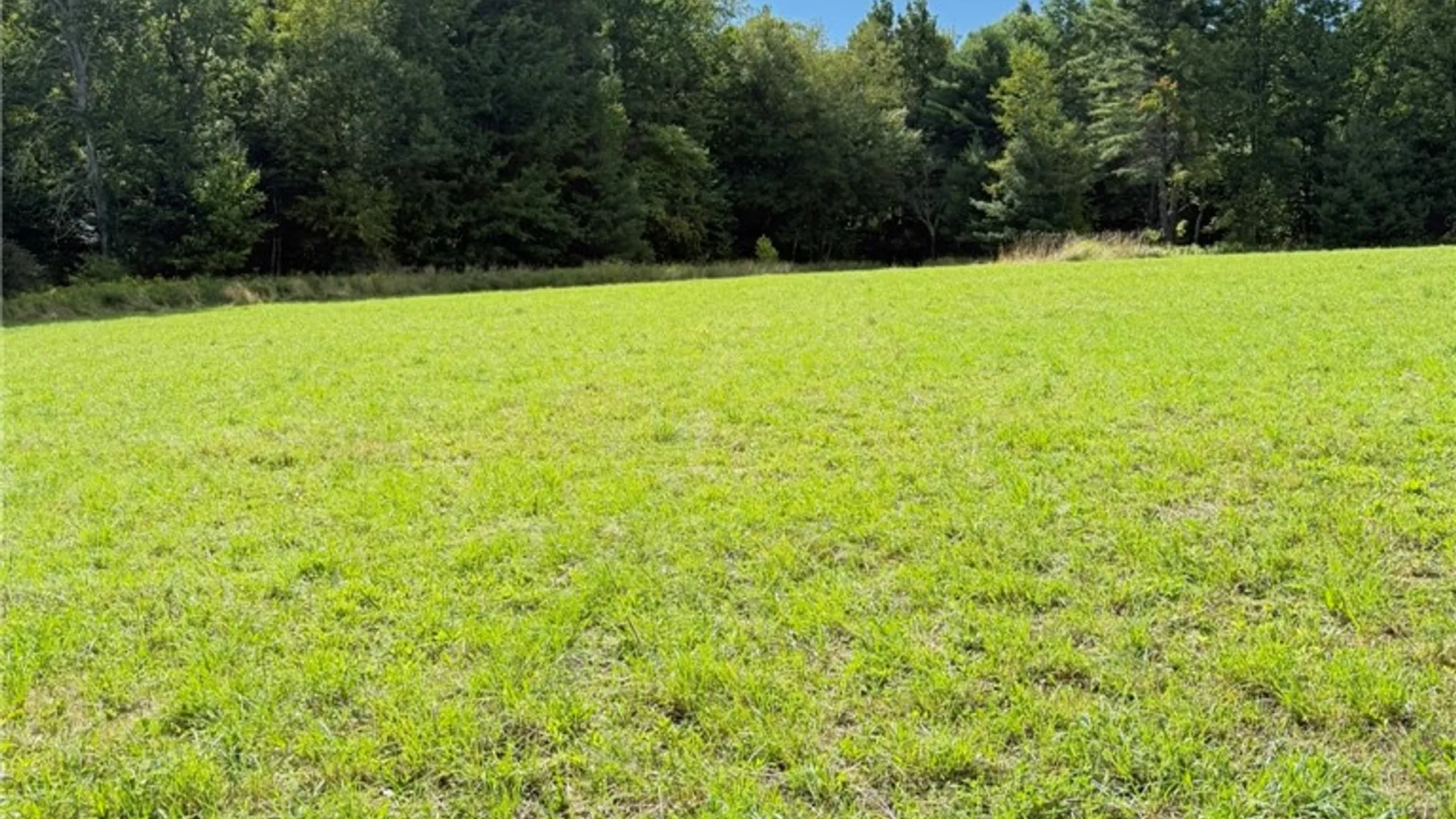 Property at L11 Mountain Pond View Road, Conesville, NY 12076 8