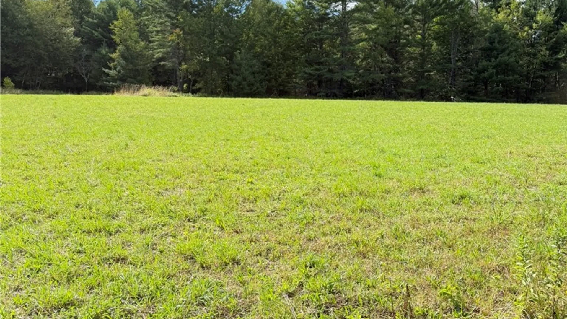 Property at L11 Mountain Pond View Road, Conesville, NY 12076 9