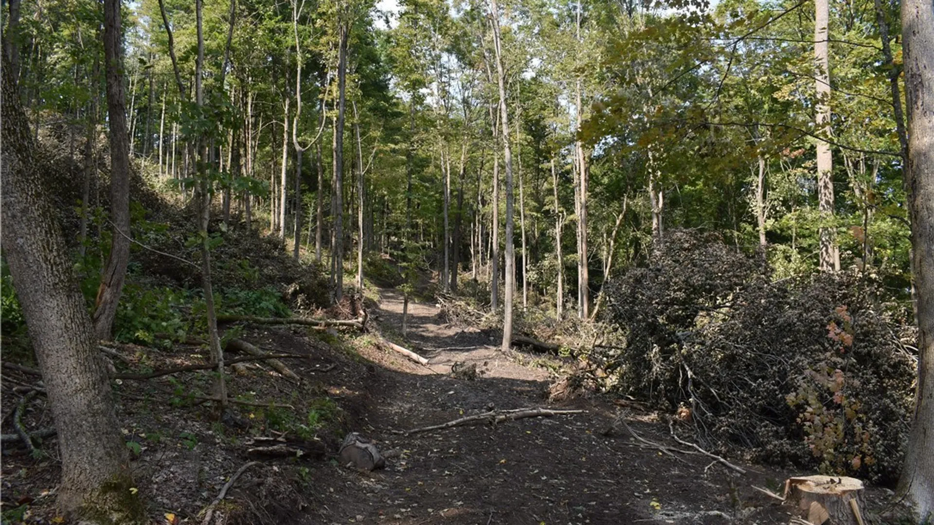 Property at Route 380, Ellicott, NY 14701 10