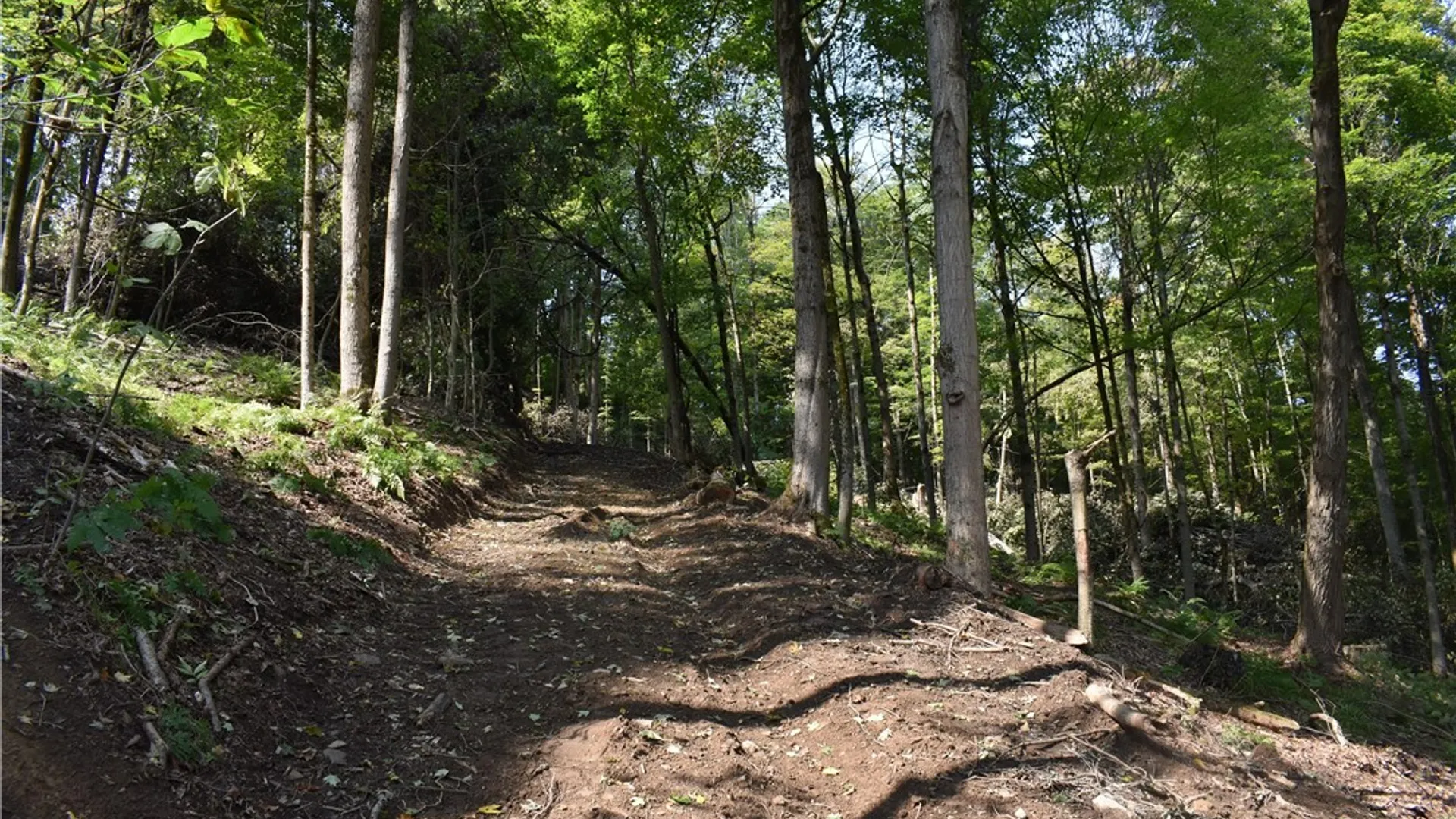 Property at Route 380, Ellicott, NY 14701 15