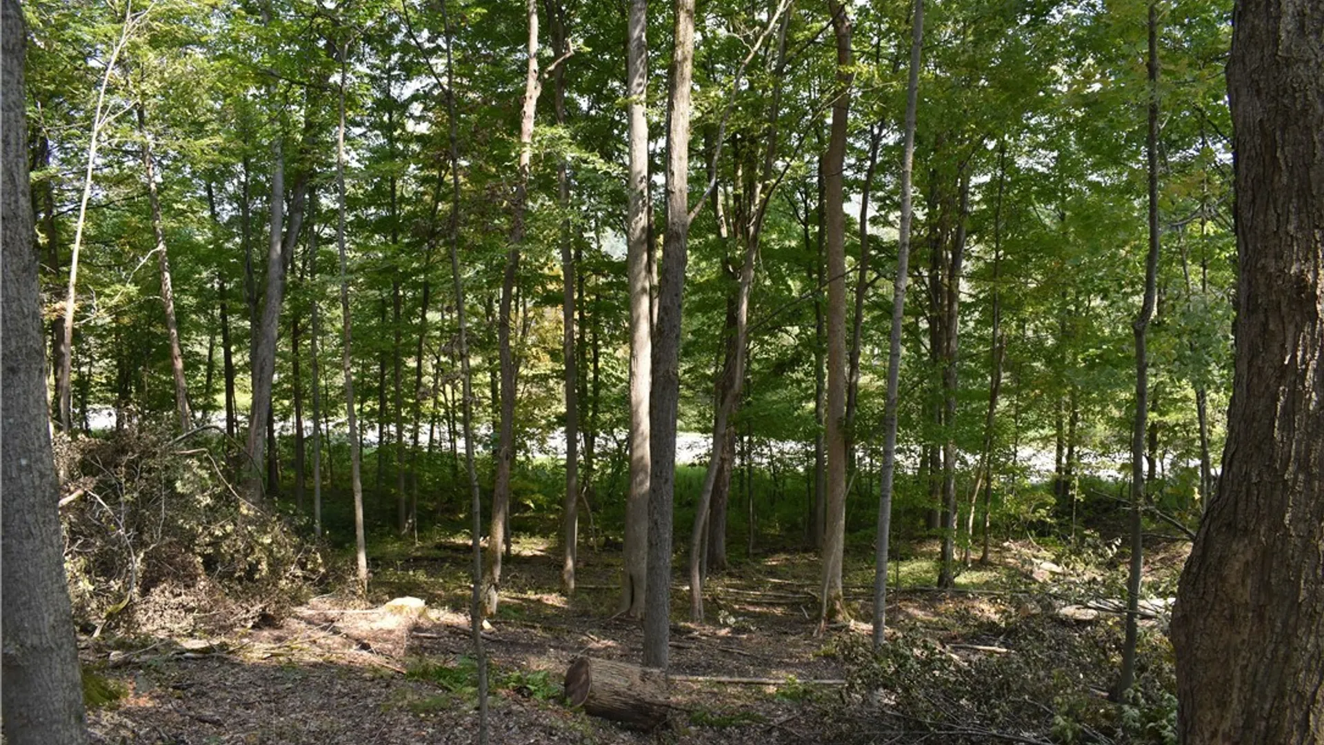 Property at Route 380, Ellicott, NY 14701 18