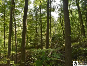 Route 380, Ellicott, NY 14701