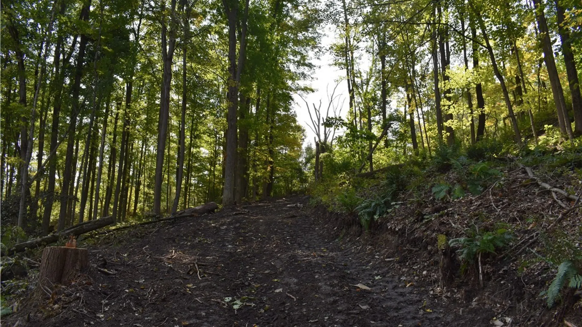 Property at Route 380, Ellicott, NY 14701 28