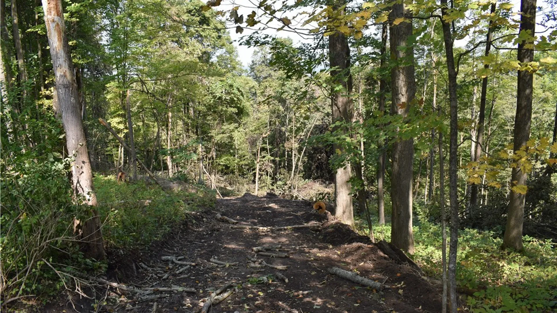 Property at Route 380, Ellicott, NY 14701 29