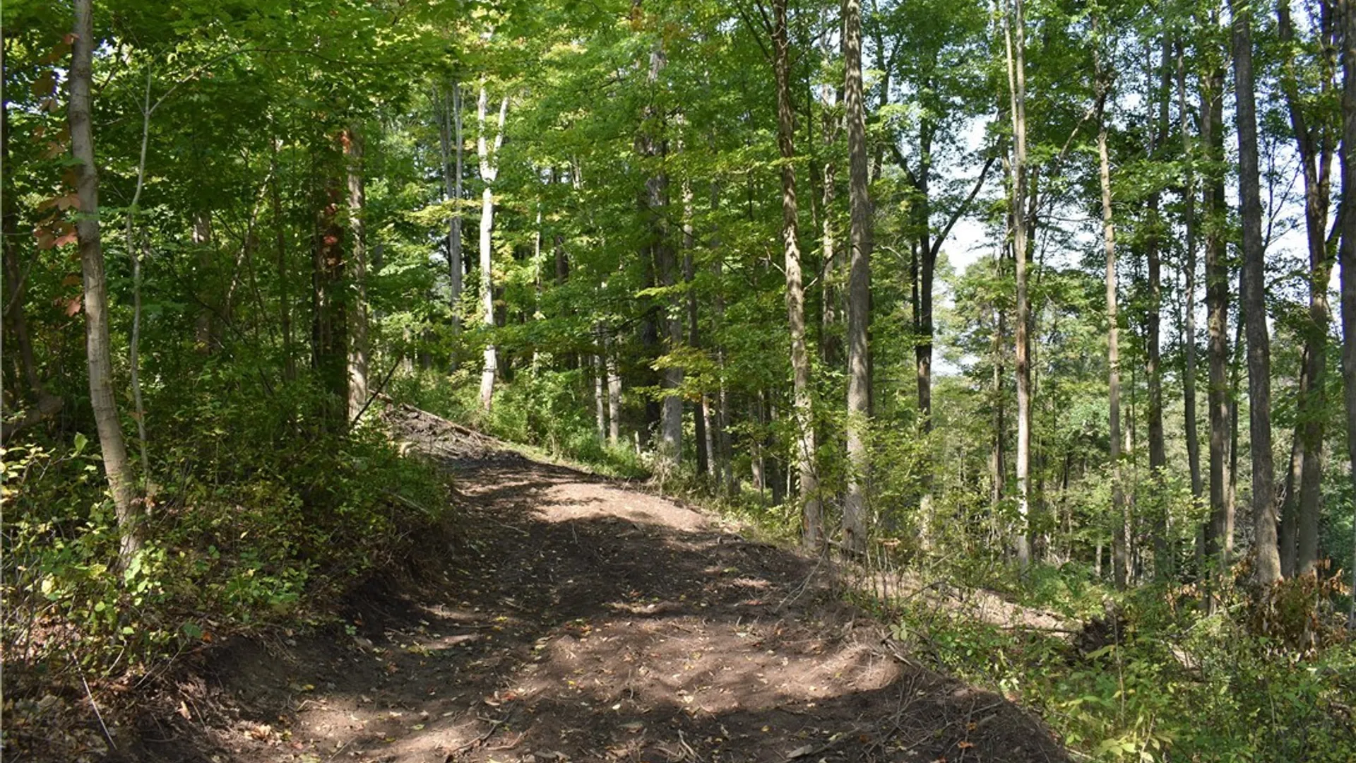 Property at Route 380, Ellicott, NY 14701 32