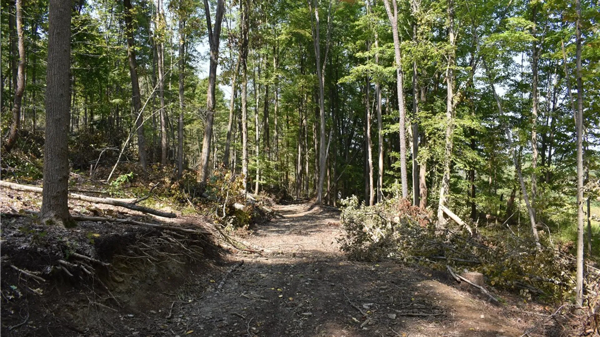 Property at Route 380, Ellicott, NY 14701 34