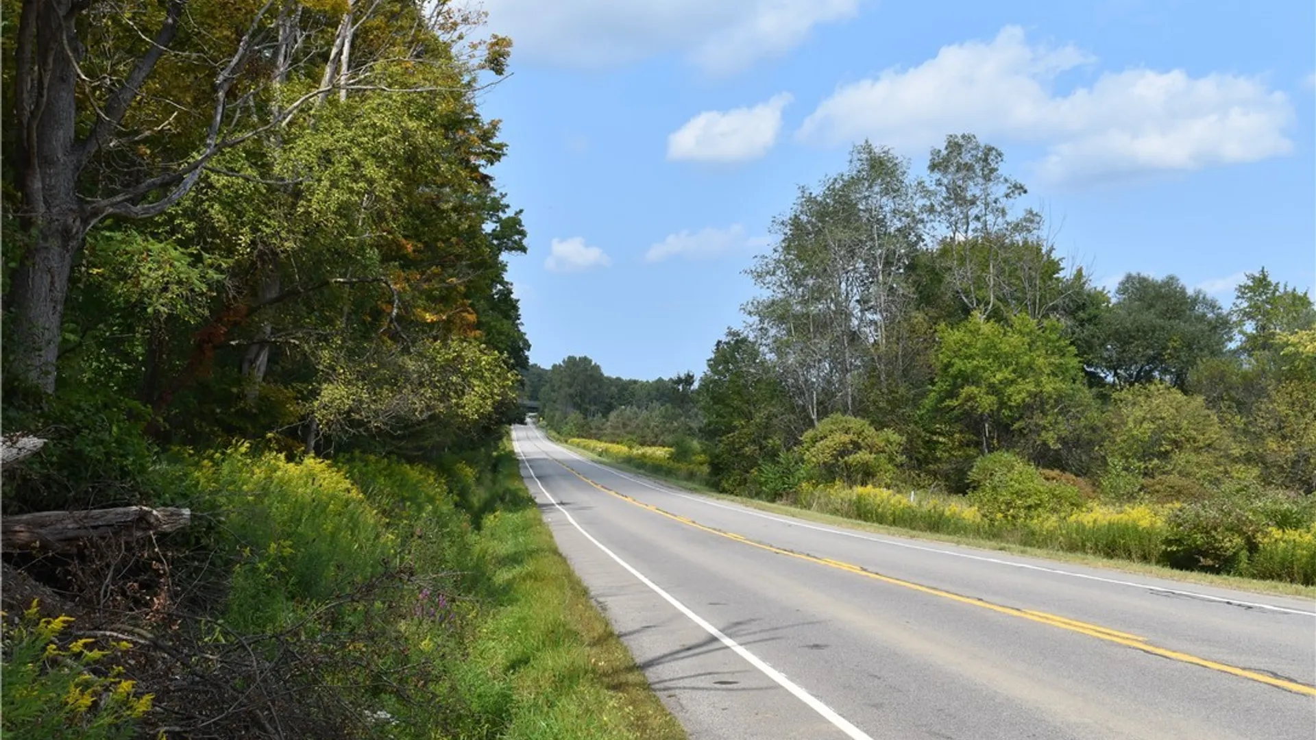 Property at Route 380, Ellicott, NY 14701 35