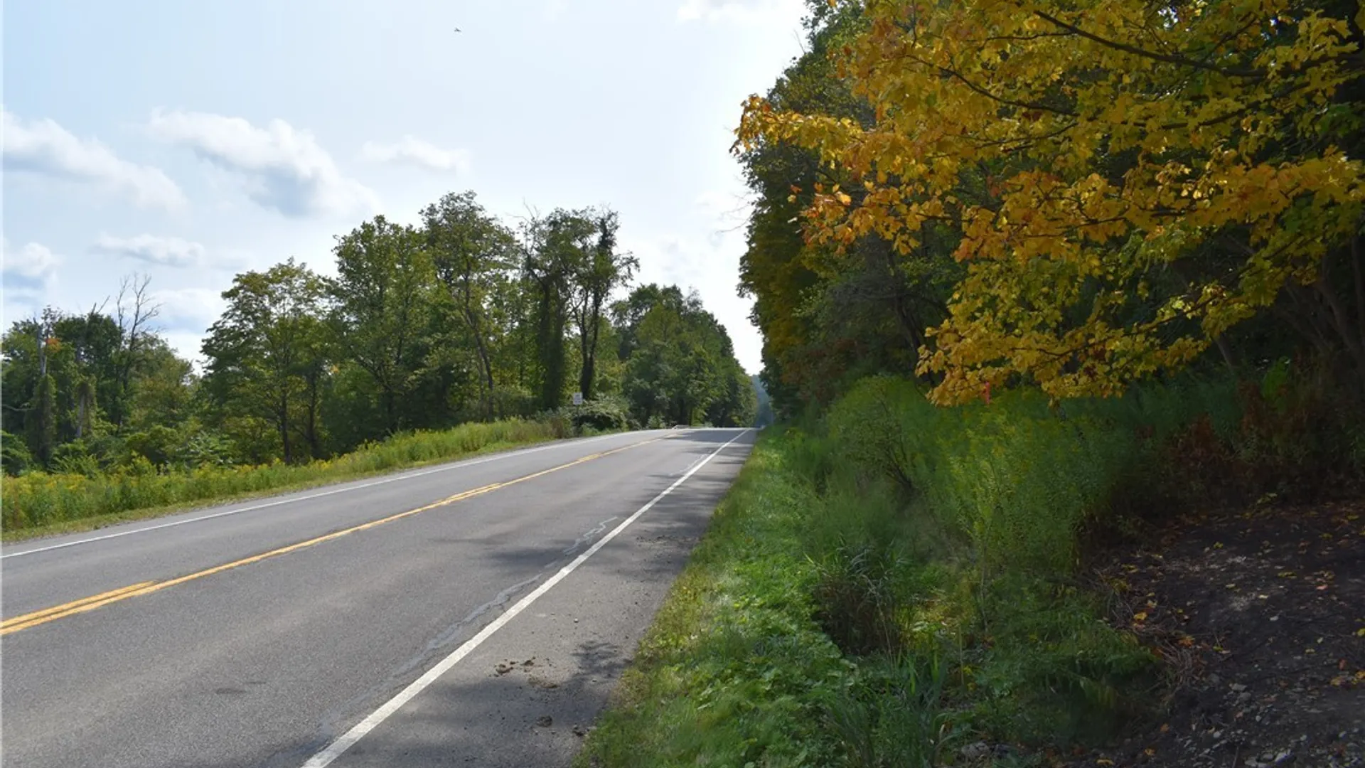 Property at Route 380, Ellicott, NY 14701 36