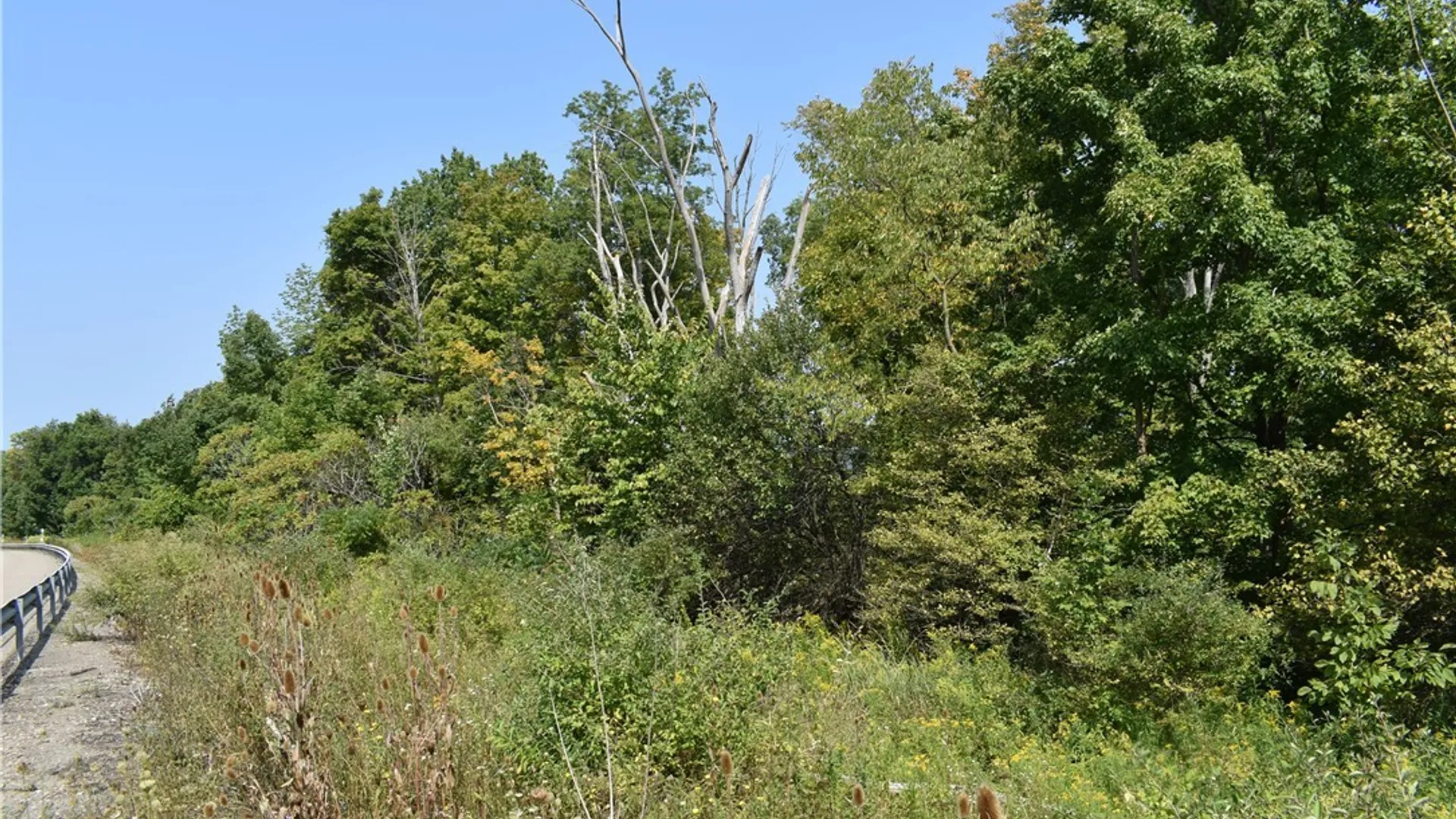 Property at Route 380, Ellicott, NY 14701 39