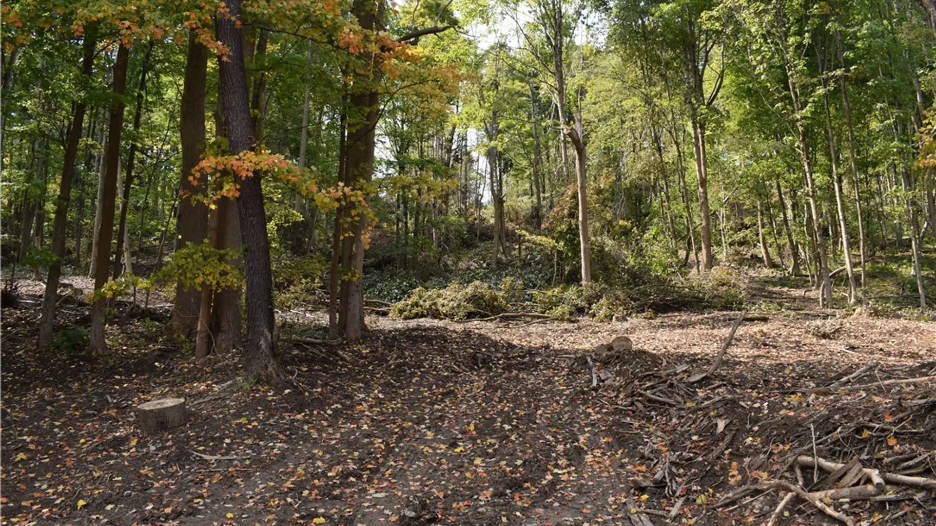 Property at Route 380, Ellicott, NY 14701 40